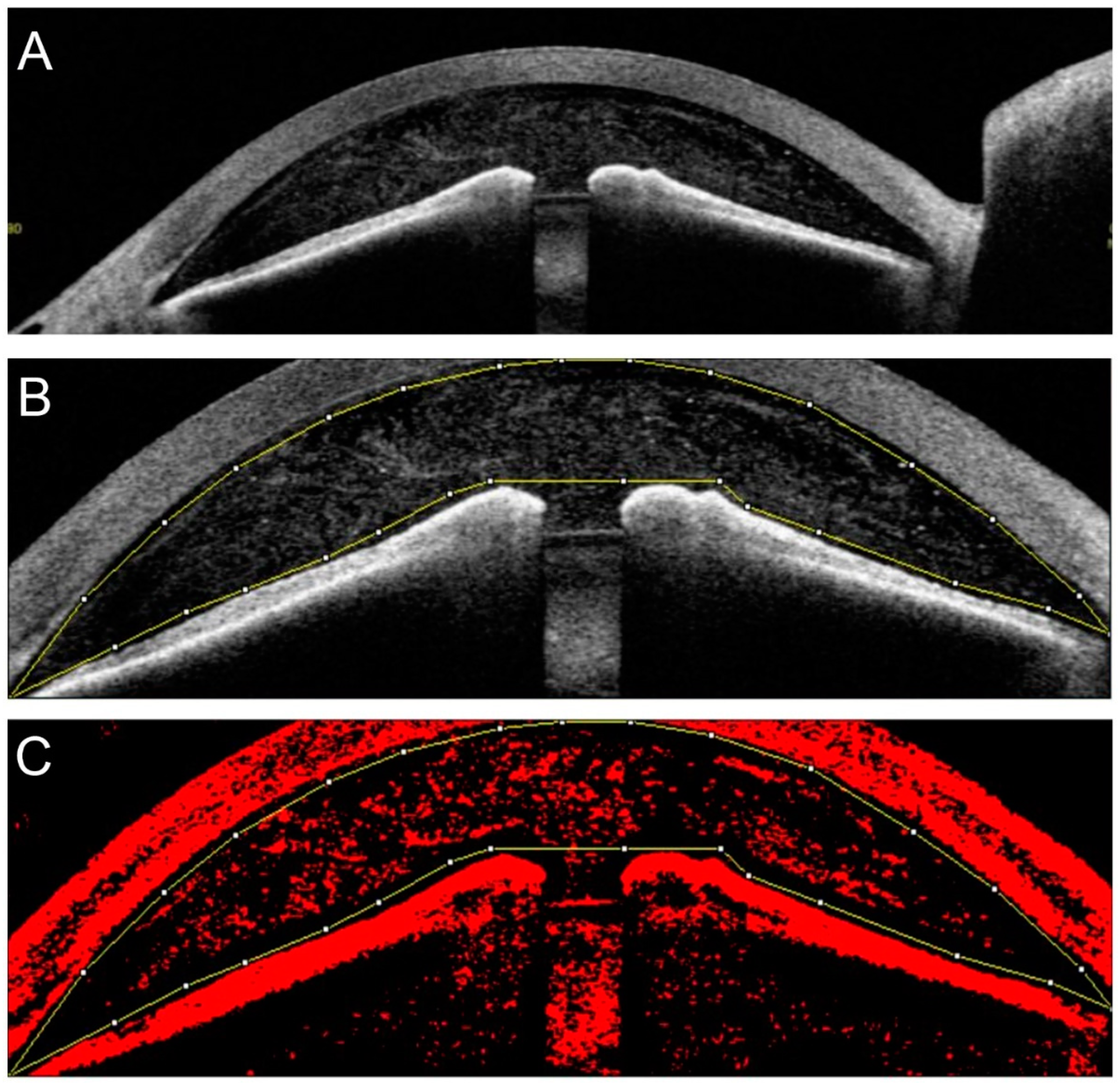 Jcm 11 04379 g002 Jcm 11 04379 g002