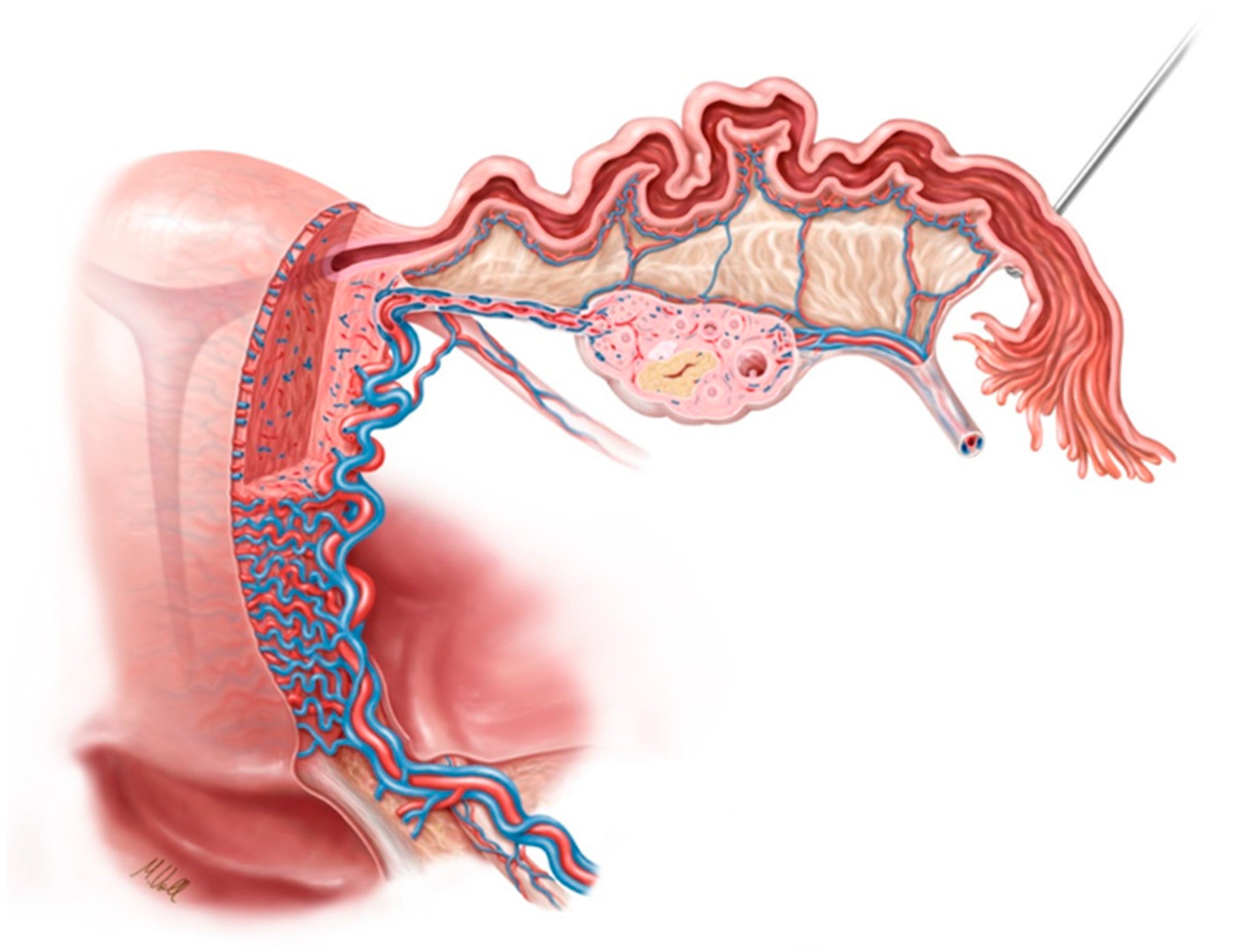 Jcm 11 04385 g001 Jcm 11 04385 g001