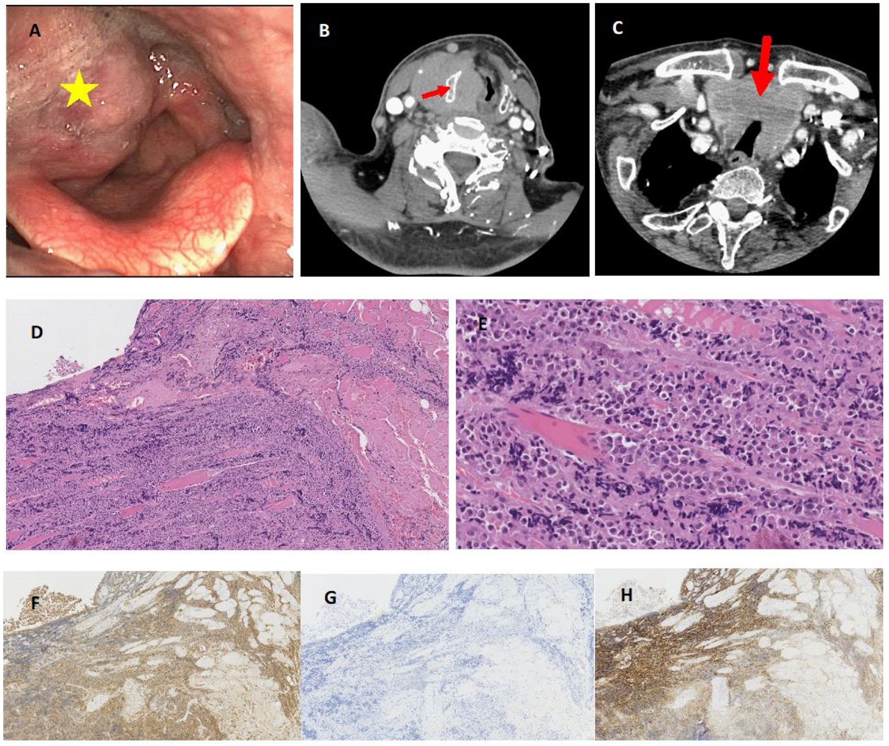 Jcm 11 04390 g002 Jcm 11 04390 g002