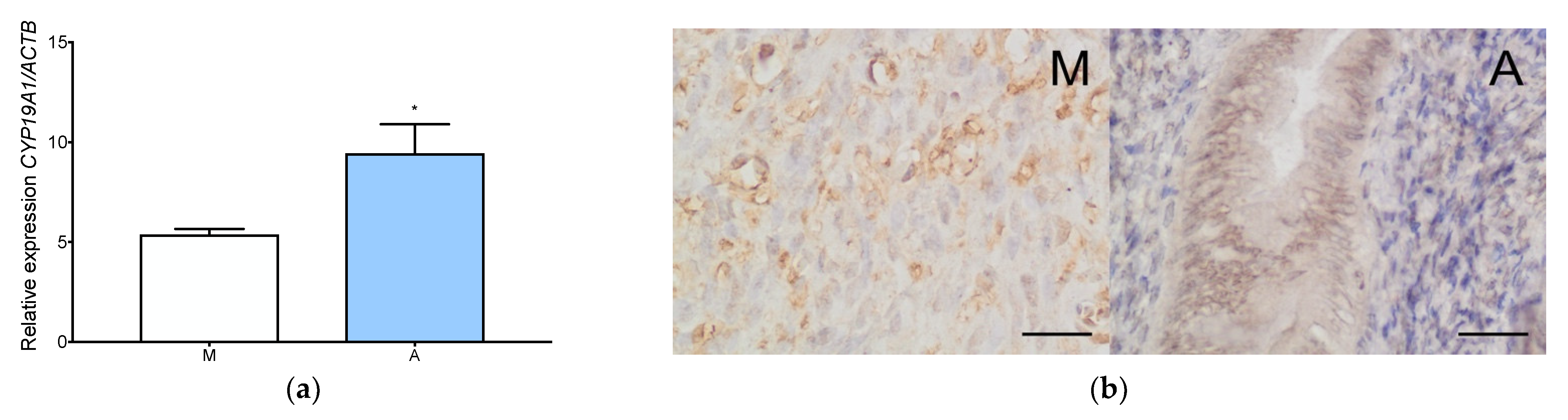 Jcm 11 04407 g003 Jcm 11 04407 g003