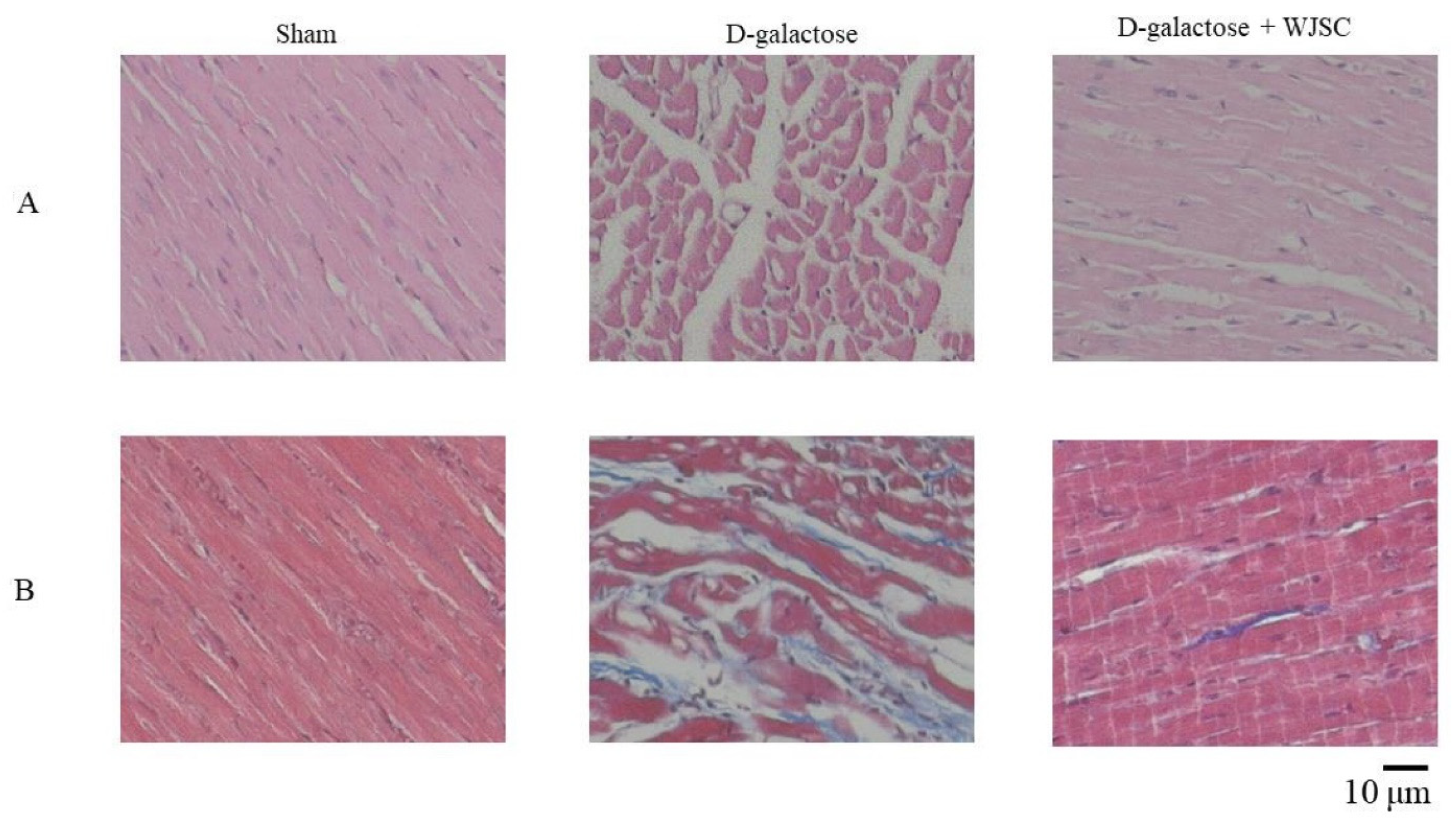 Jcm 11 04419 g004 550