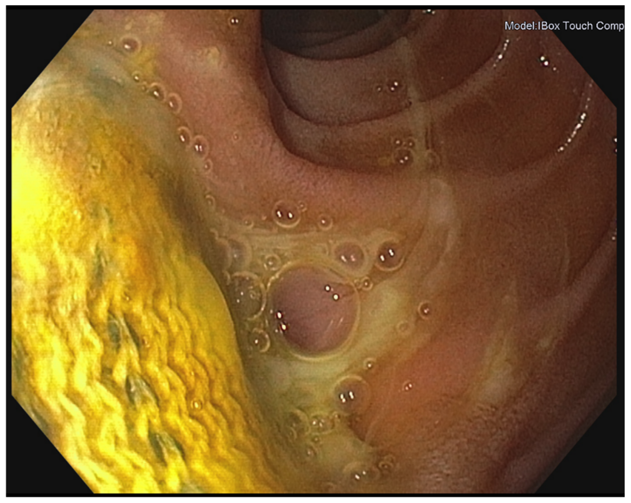 Jcm 11 04427 g002 550