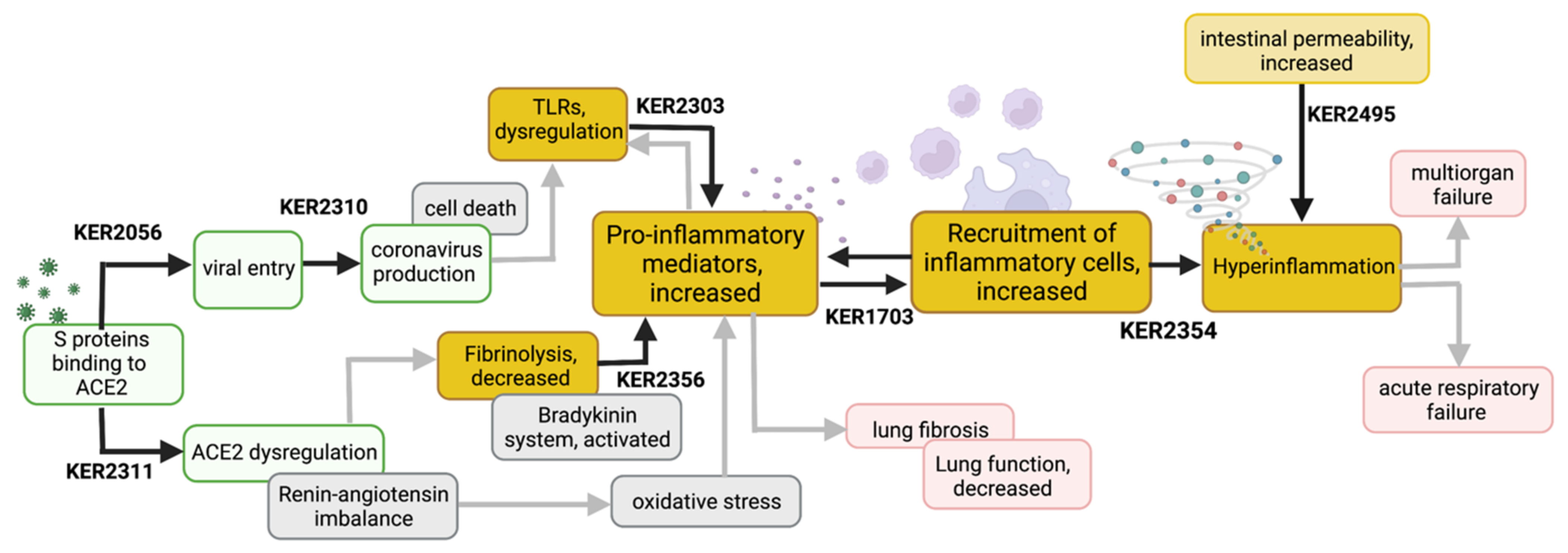 Jcm 11 04464 g003 Jcm 11 04464 g003