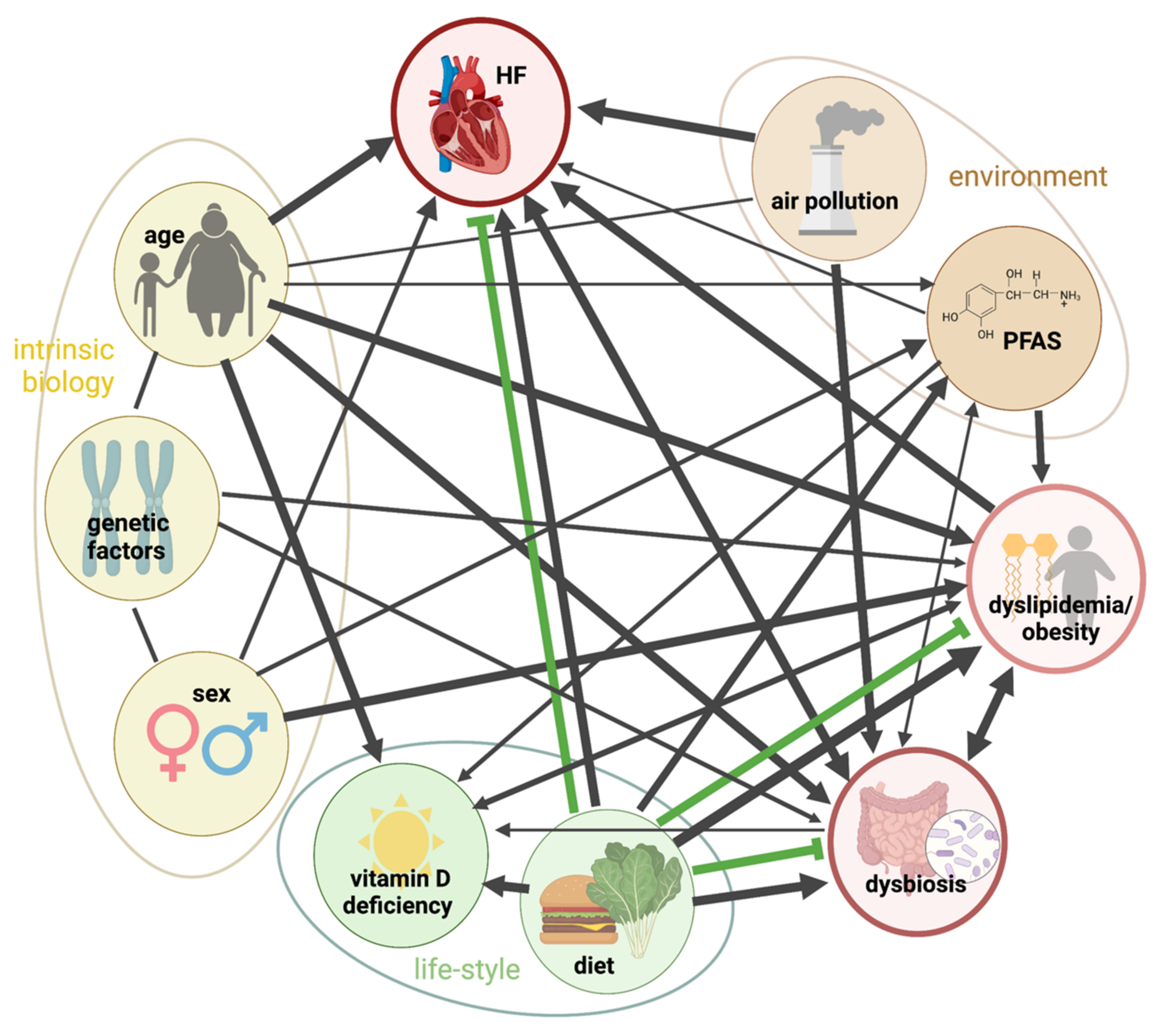Jcm 11 04464 g005 Jcm 11 04464 g005