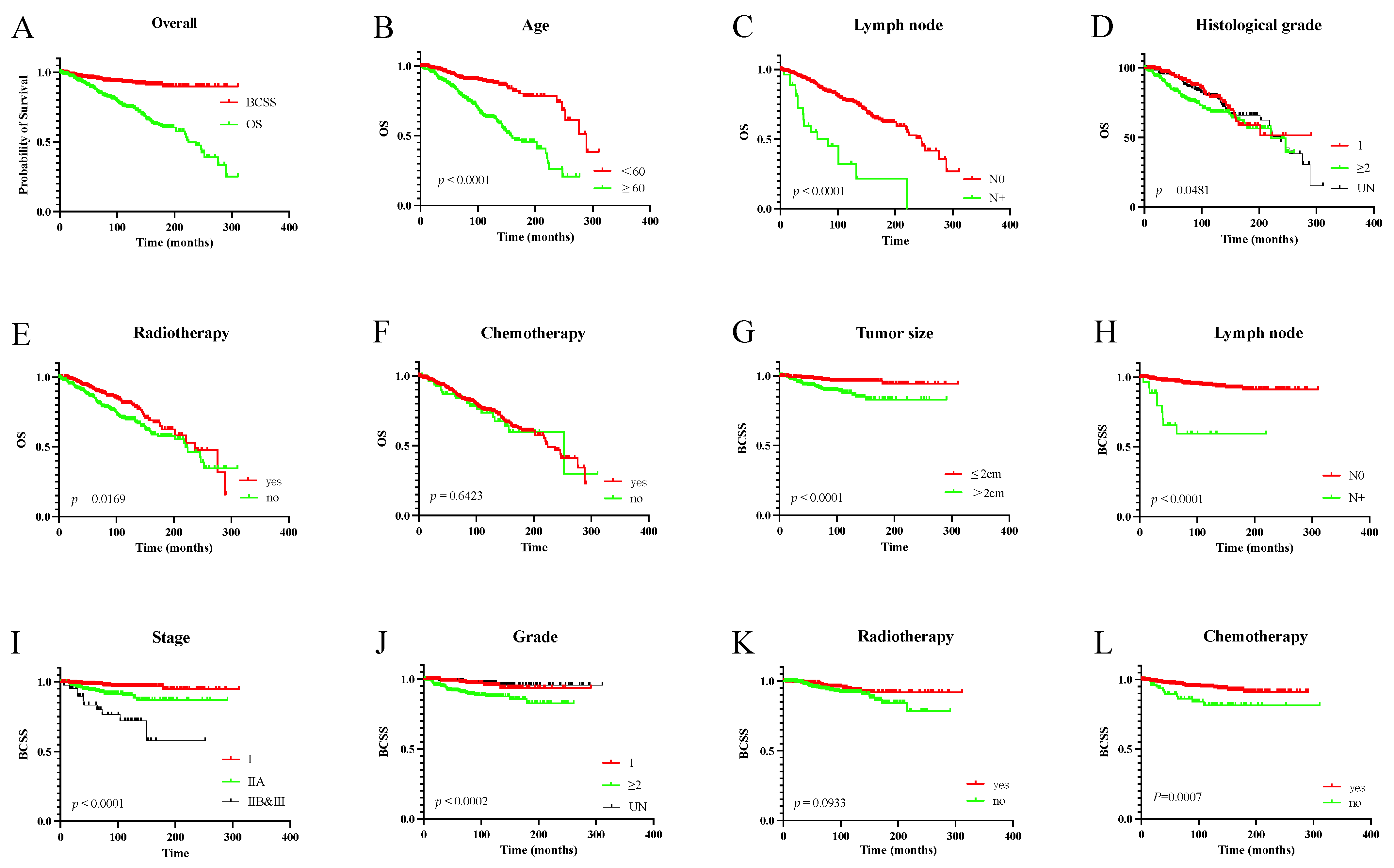 Jcm 11 04477 g002 Jcm 11 04477 g002