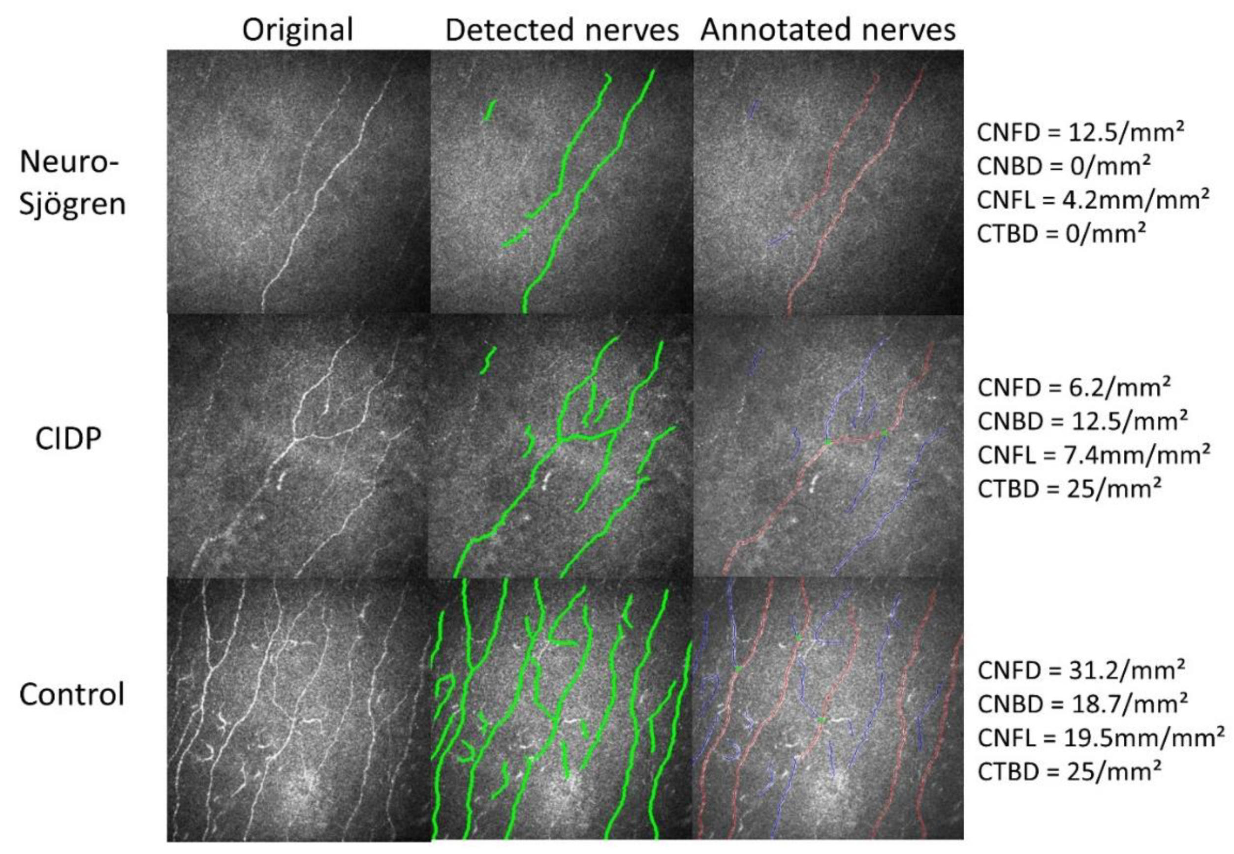 Jcm 11 04484 g002 550