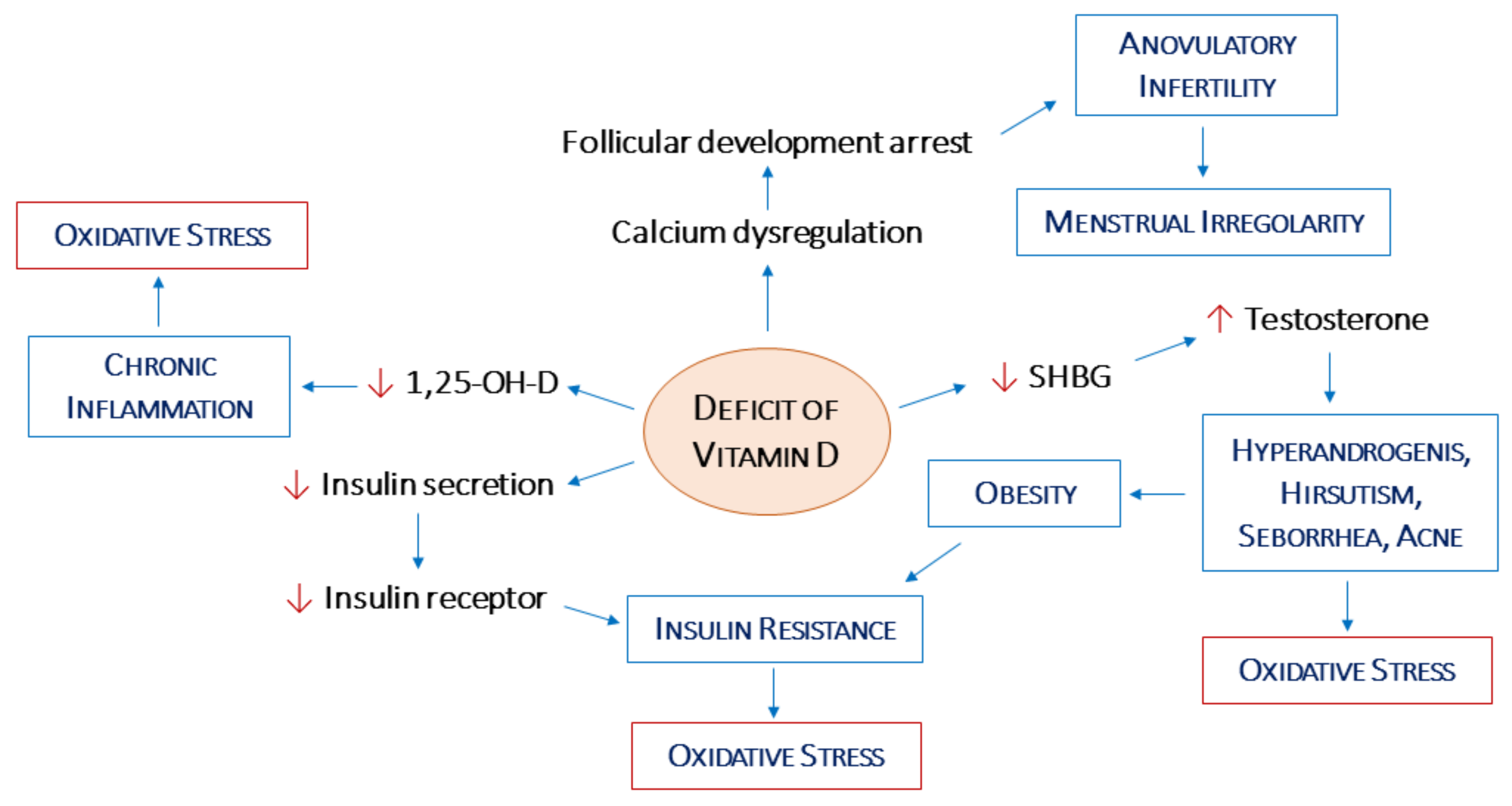 Jcm free full text pcos physiopathology and vitamin d deficiency