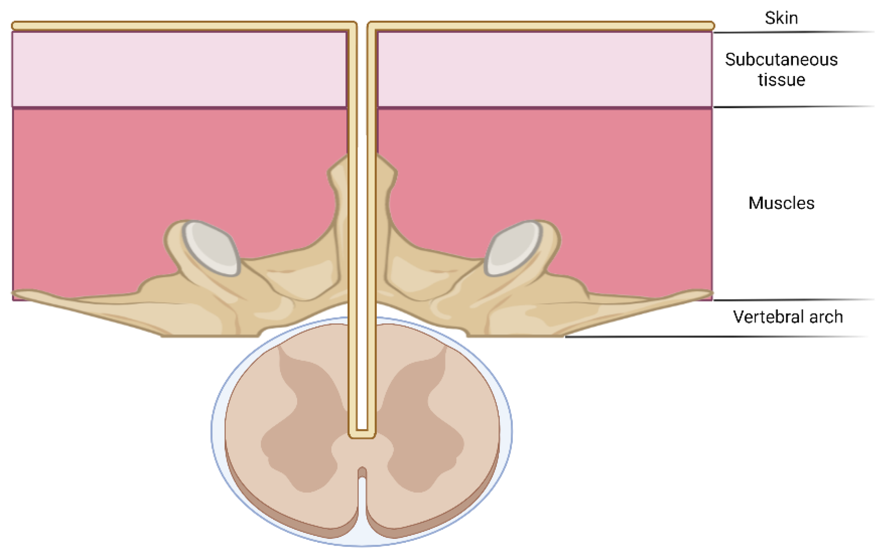 Jcm 11 04549 g005 Jcm 11 04549 g005