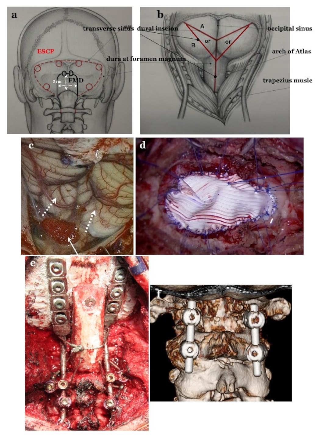 Jcm 11 04556 g002 Jcm 11 04556 g002