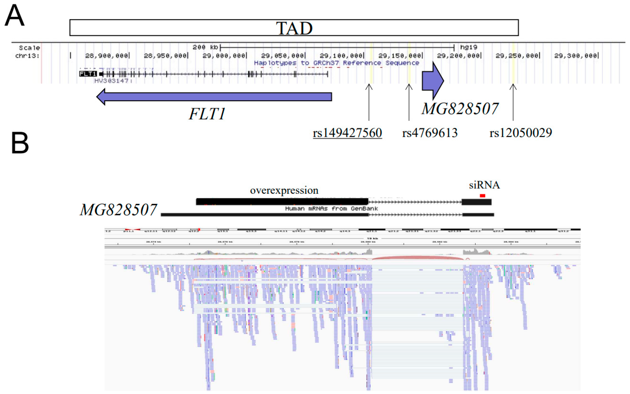 Jcm 11 04603 g001 550