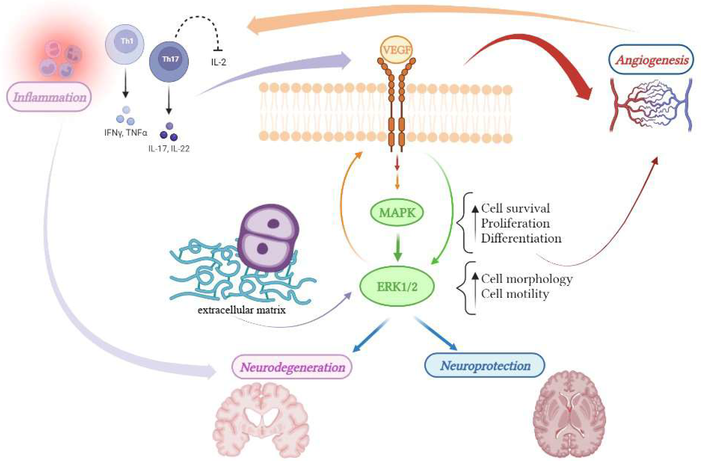 Jcm 11 04643 g001 Jcm 11 04643 g001