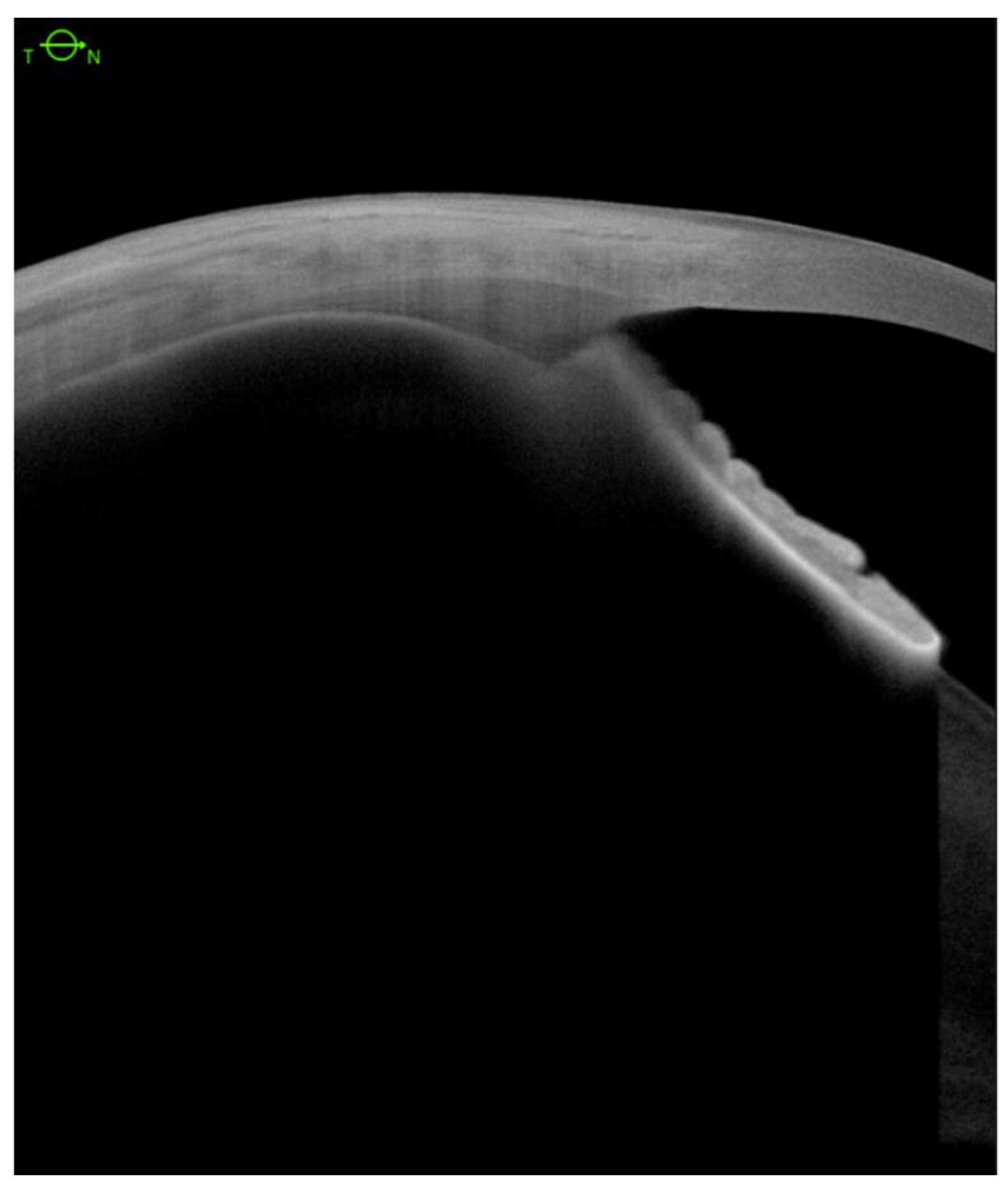 Jcm 11 04647 g001 550