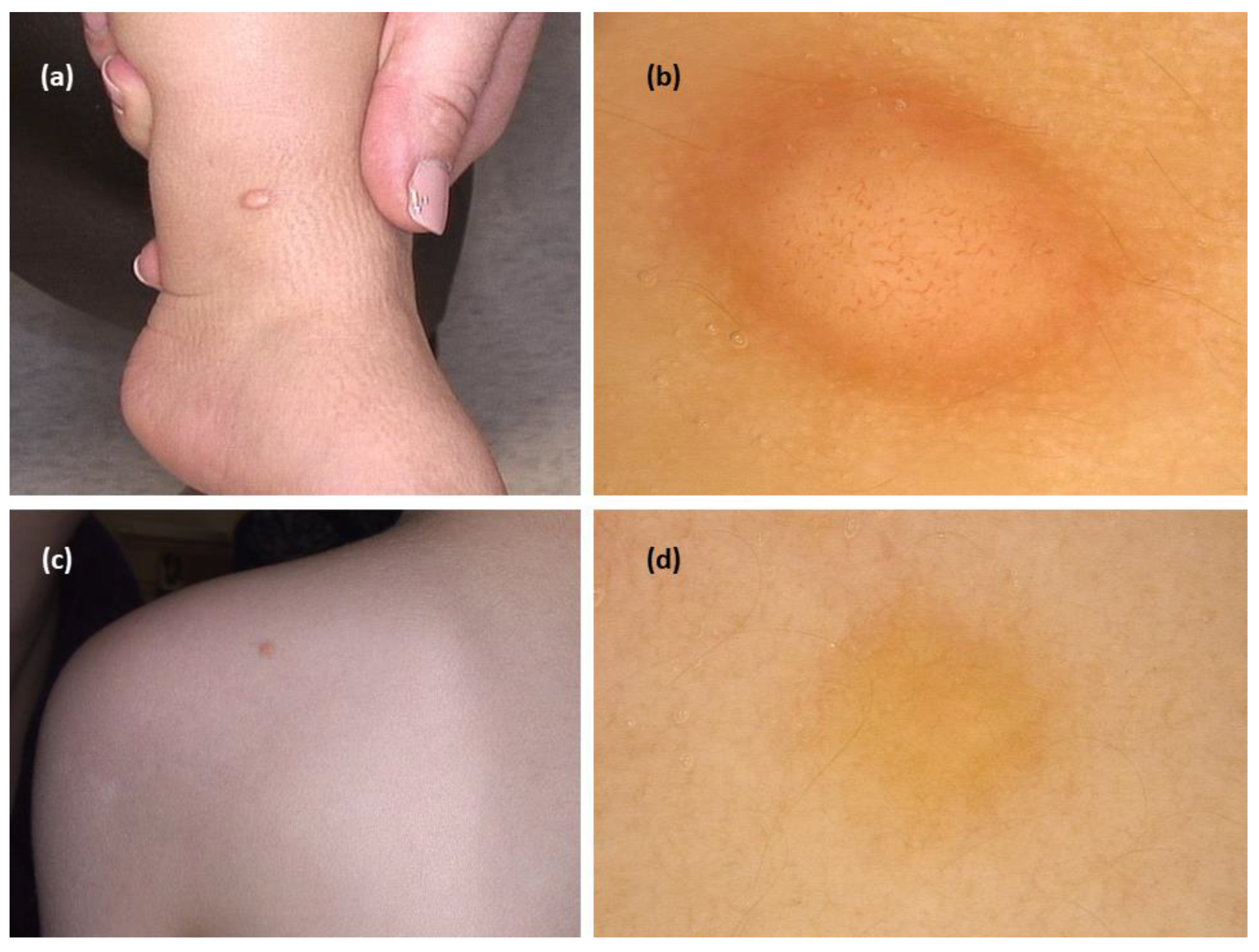 Jcm 11 04649 g004 550