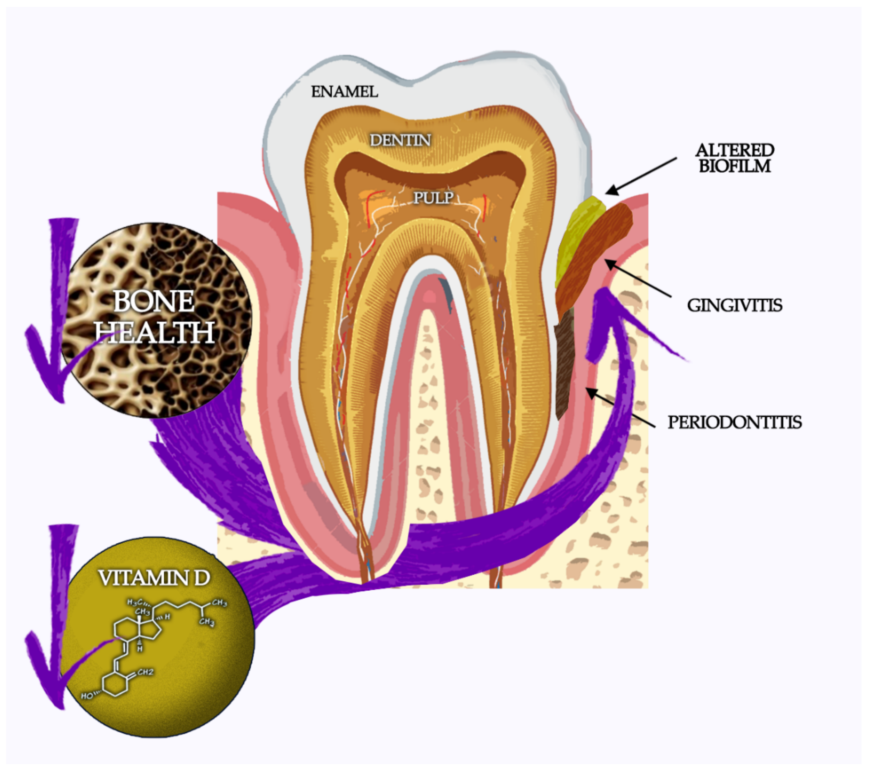 Jcm 11 04662 g001 550