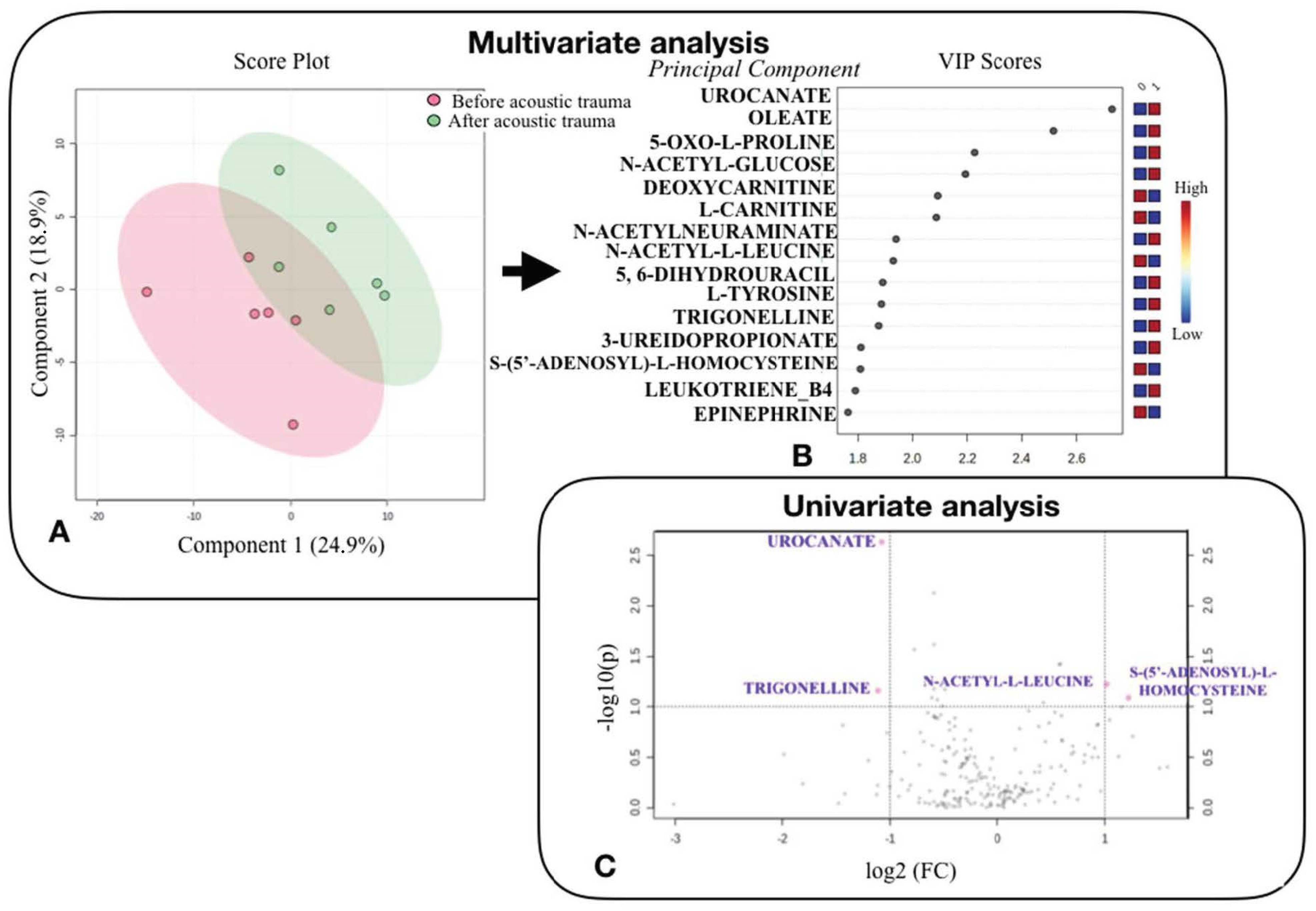 Jcm 11 04668 g002 Jcm 11 04668 g002