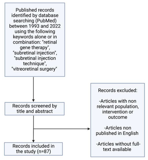Subretinal Injection Techniques for Retinal Disease: A Review