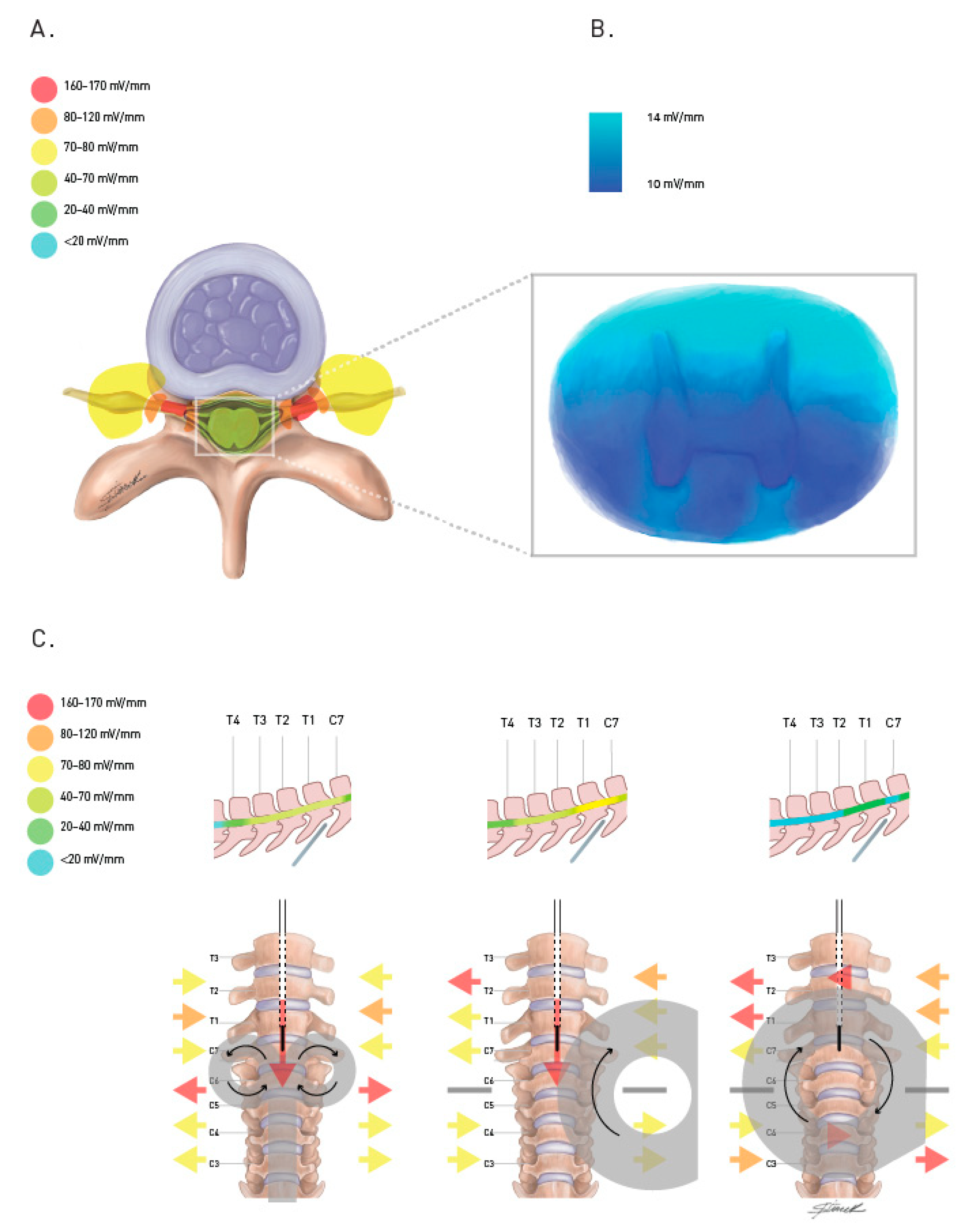 Jcm 11 04748 g002 Jcm 11 04748 g002