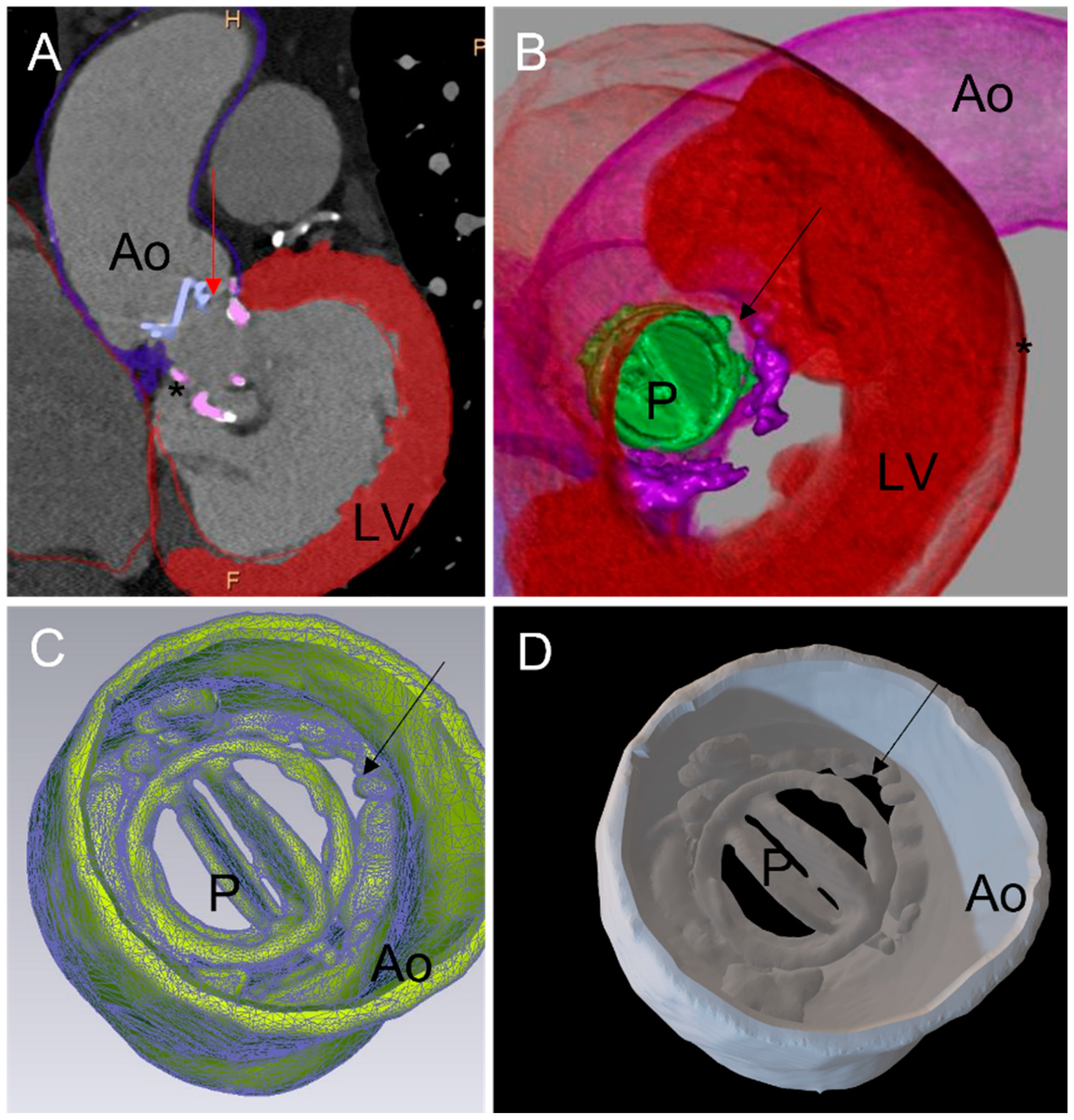 Jcm 11 04758 g001 550