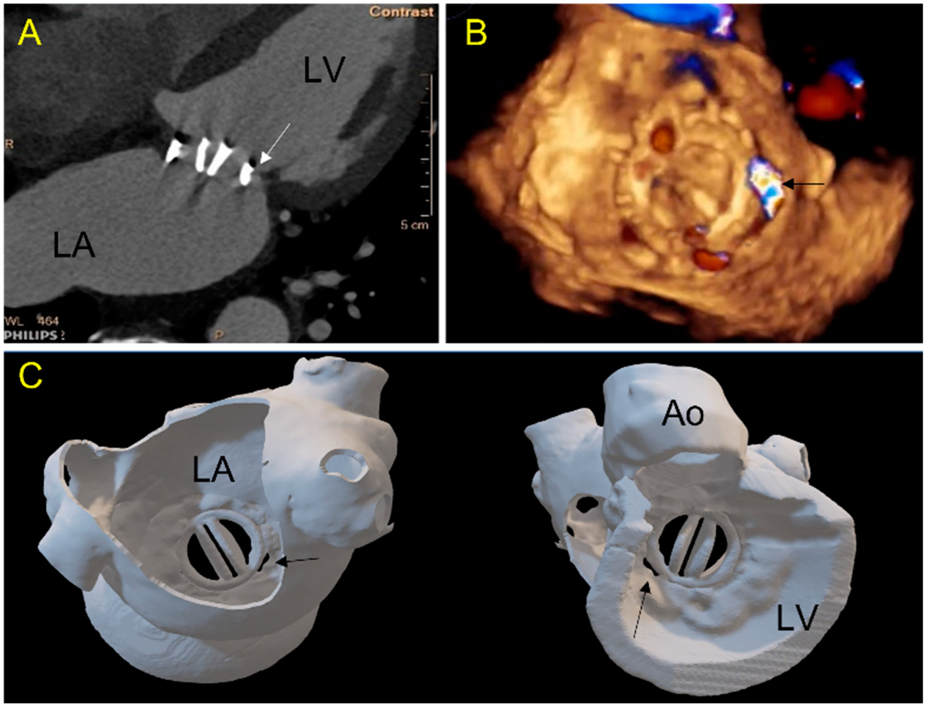 Jcm 11 04758 g002 550