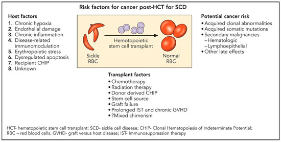 Bone Marrow Transplant And Sickle Cell Disease Debating the Future of Sickle Cell Disease Curative Therapy