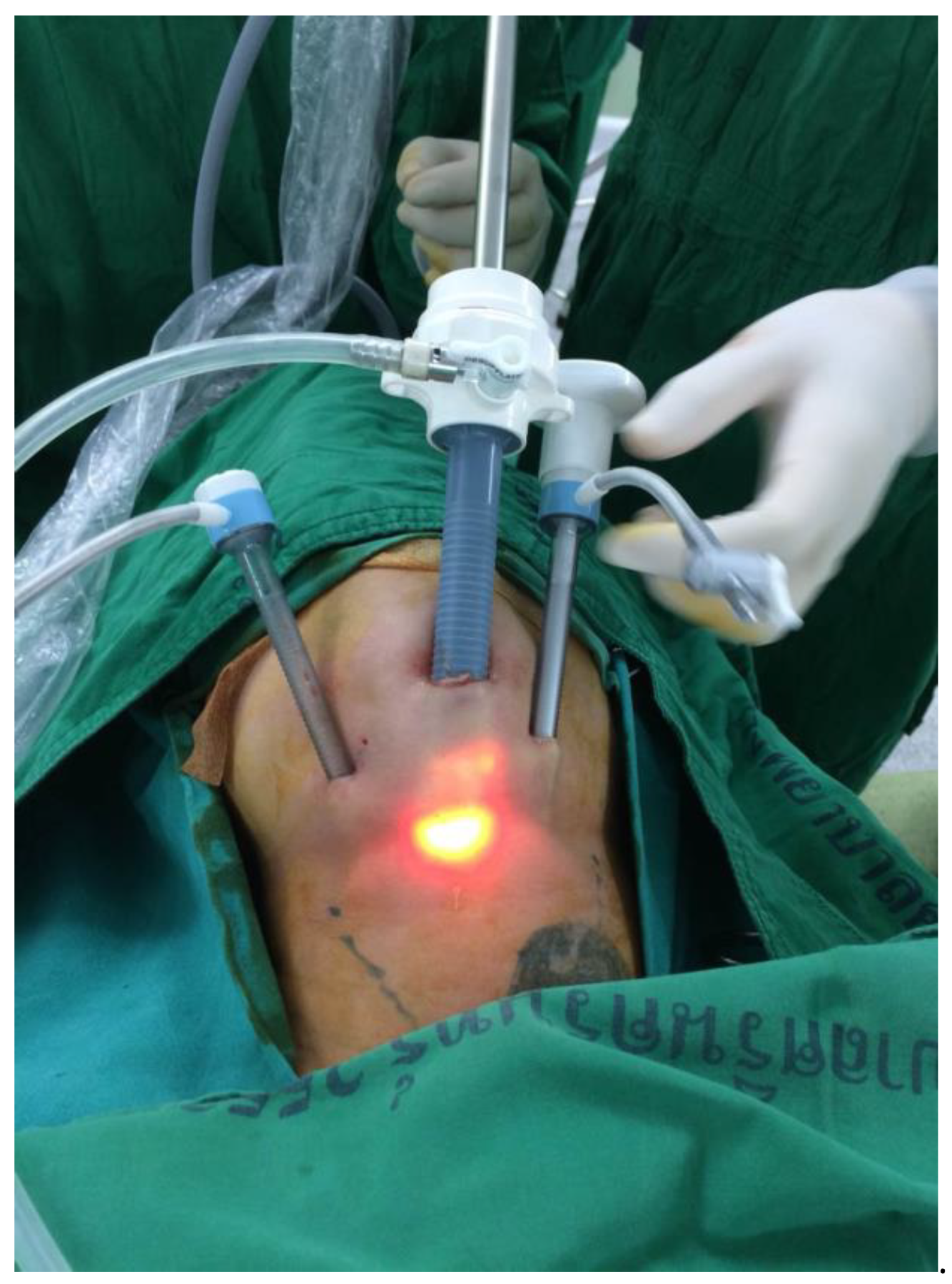 Jcm 11 04802 g001 550