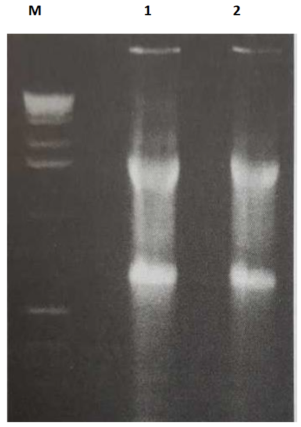 Jcm 11 04809 g001 Jcm 11 04809 g001