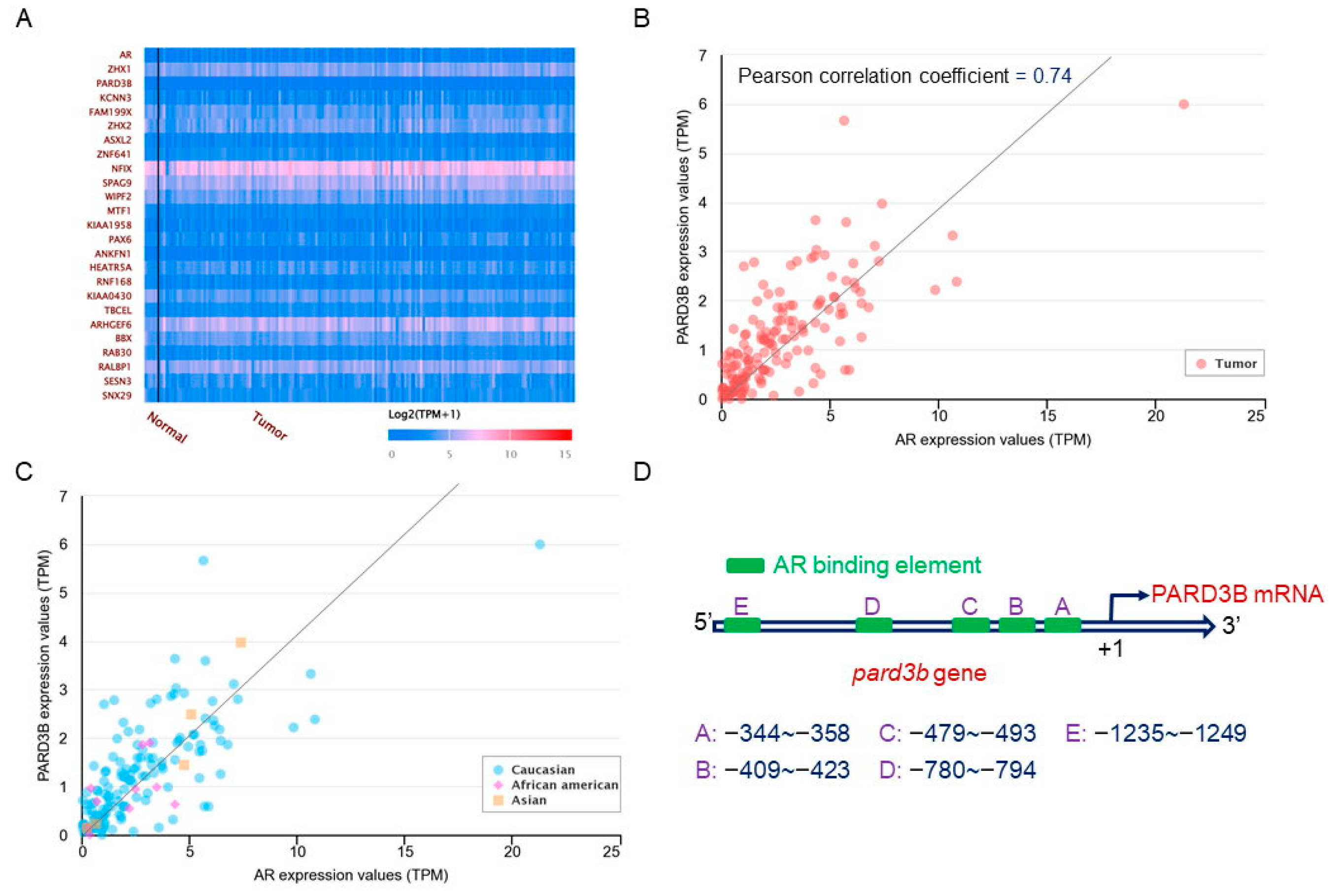 Jcm 11 04818 g003 Jcm 11 04818 g003