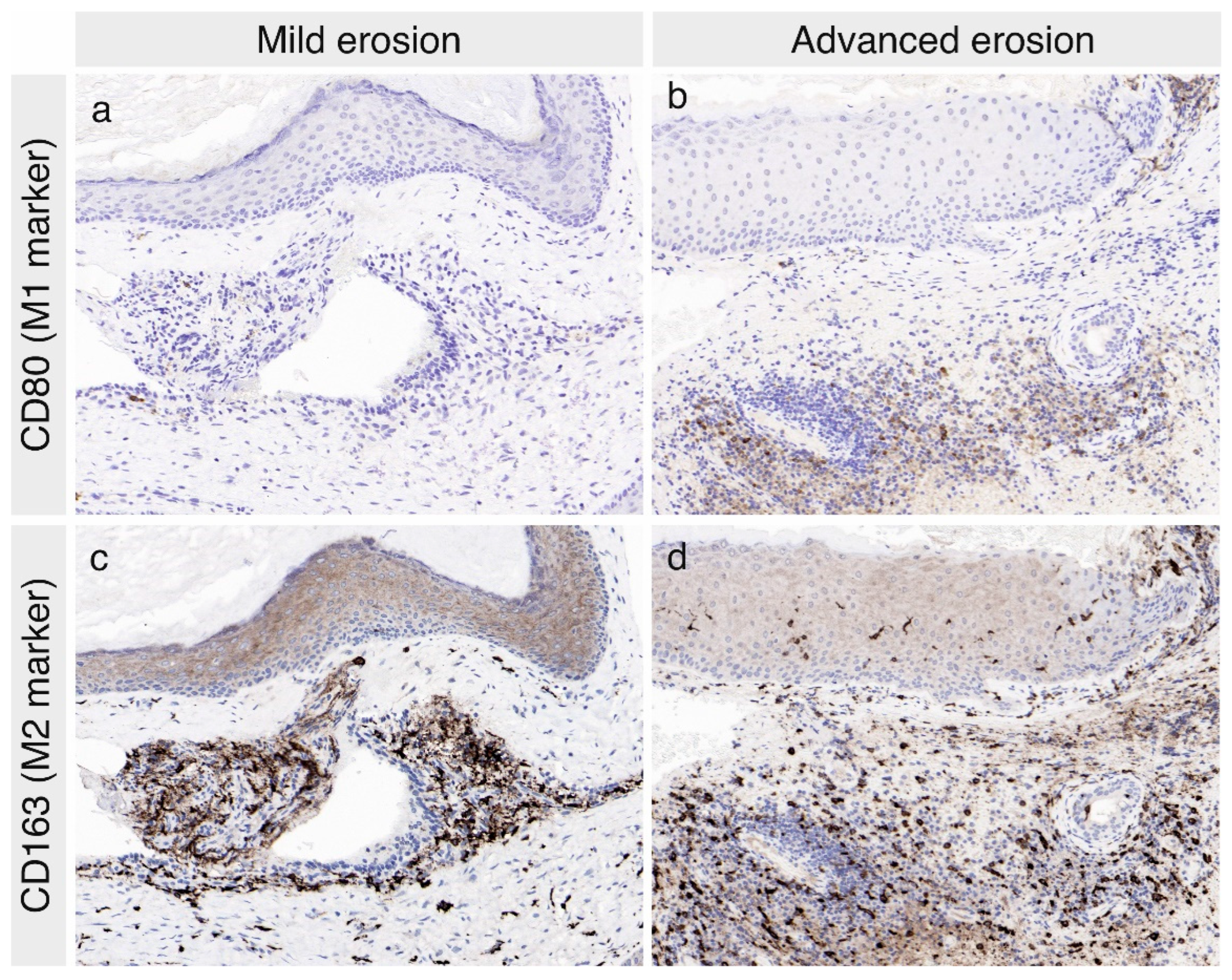 Jcm 11 04826 g003 Jcm 11 04826 g003