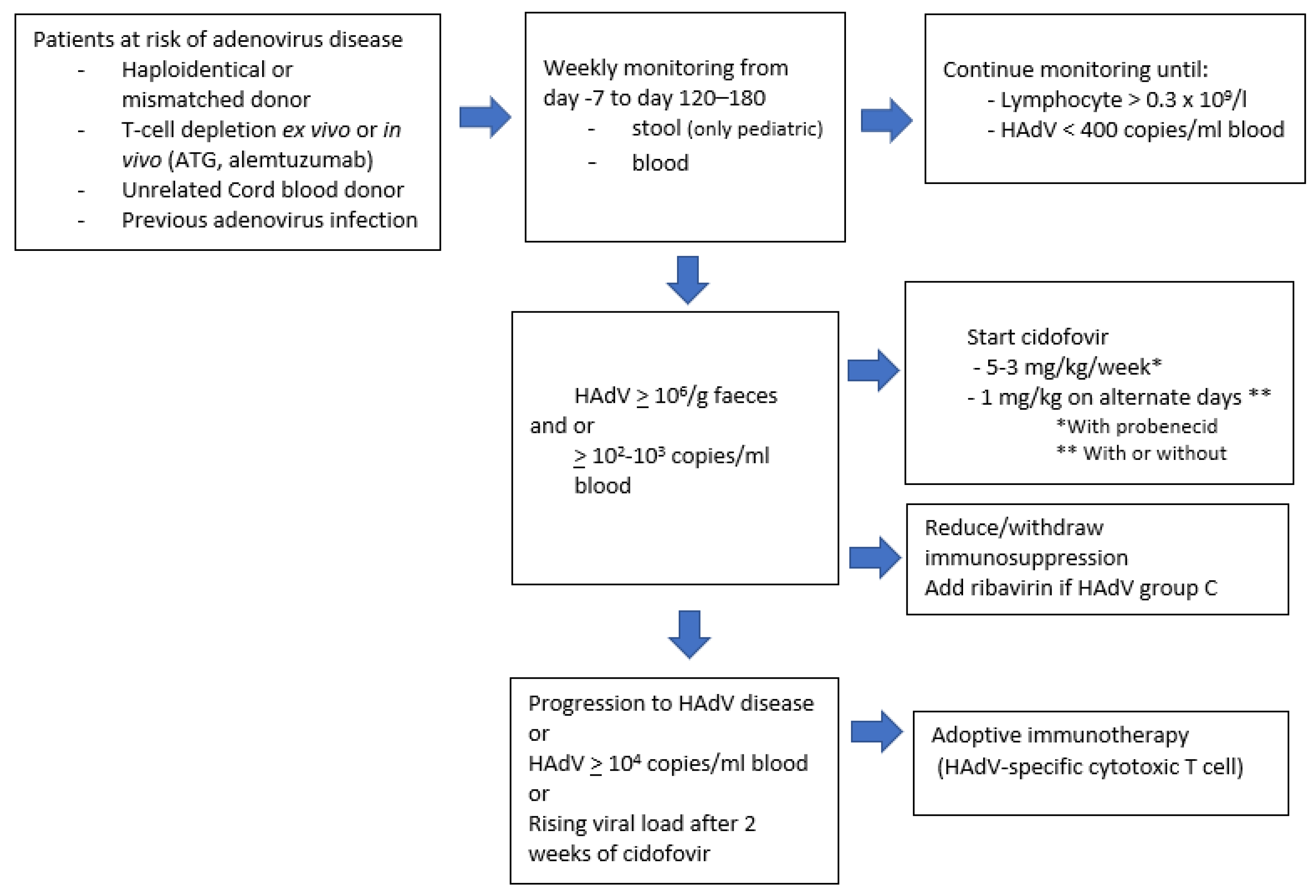 Jcm 11 04827 g002 Jcm 11 04827 g002