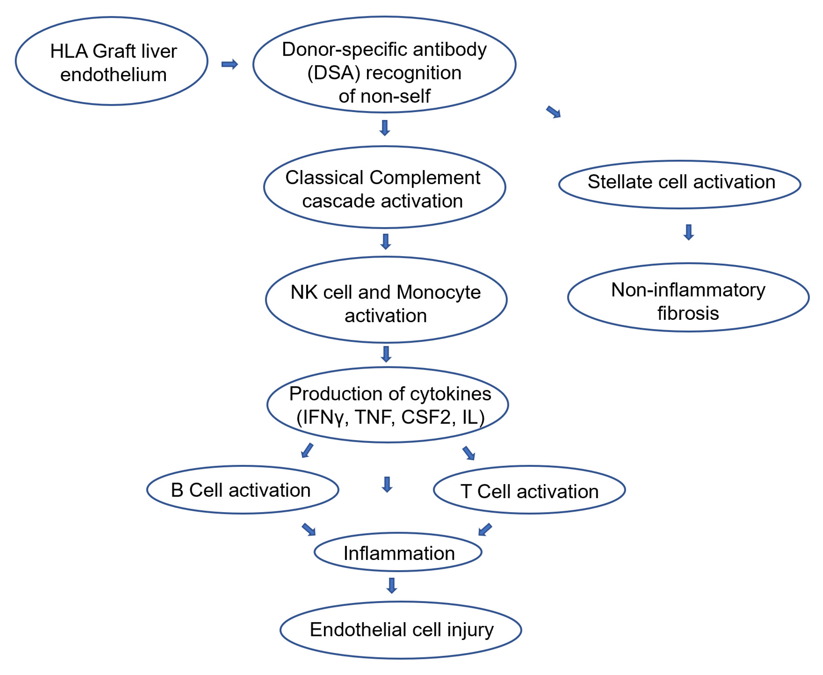 Jcm 11 04834 g001 550