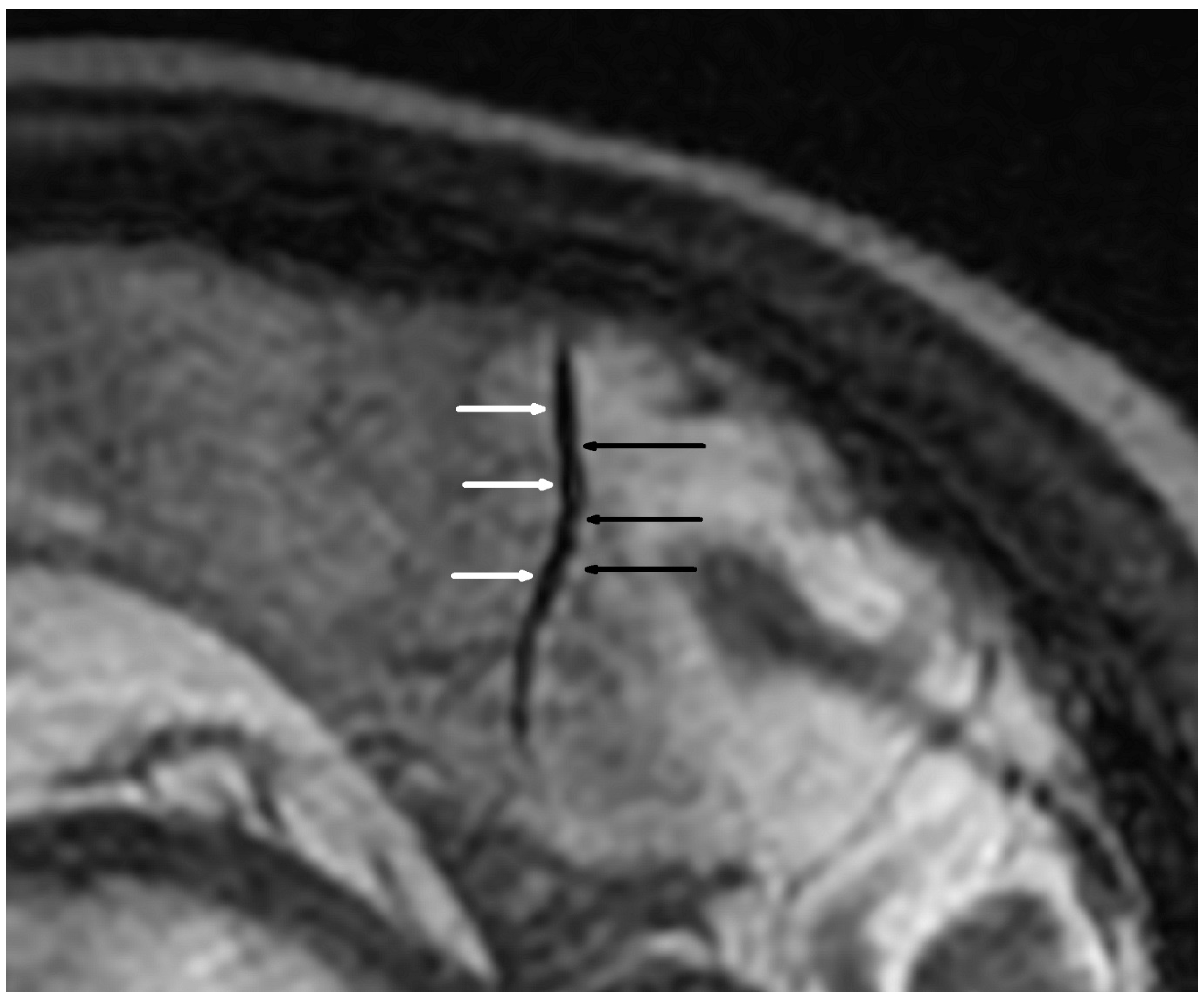 Jcm 11 04863 g001 550