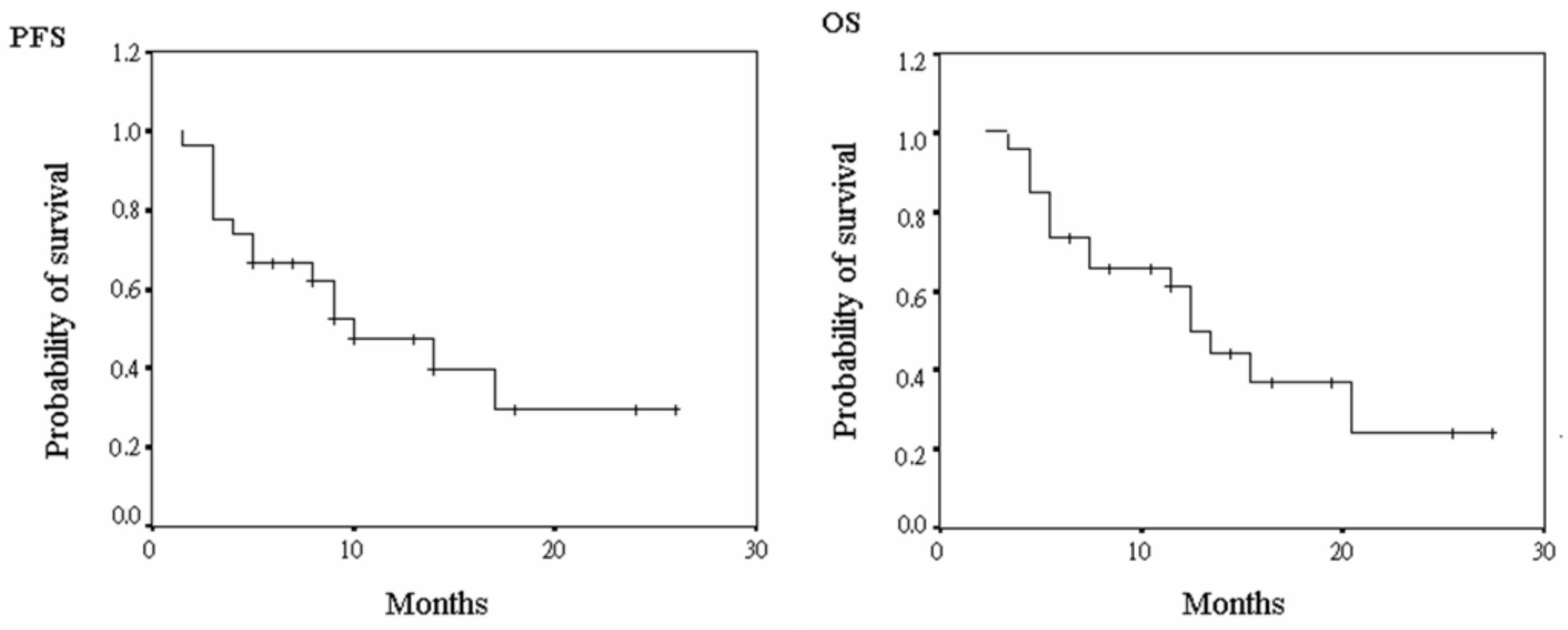 Jcm 11 04874 g001 550