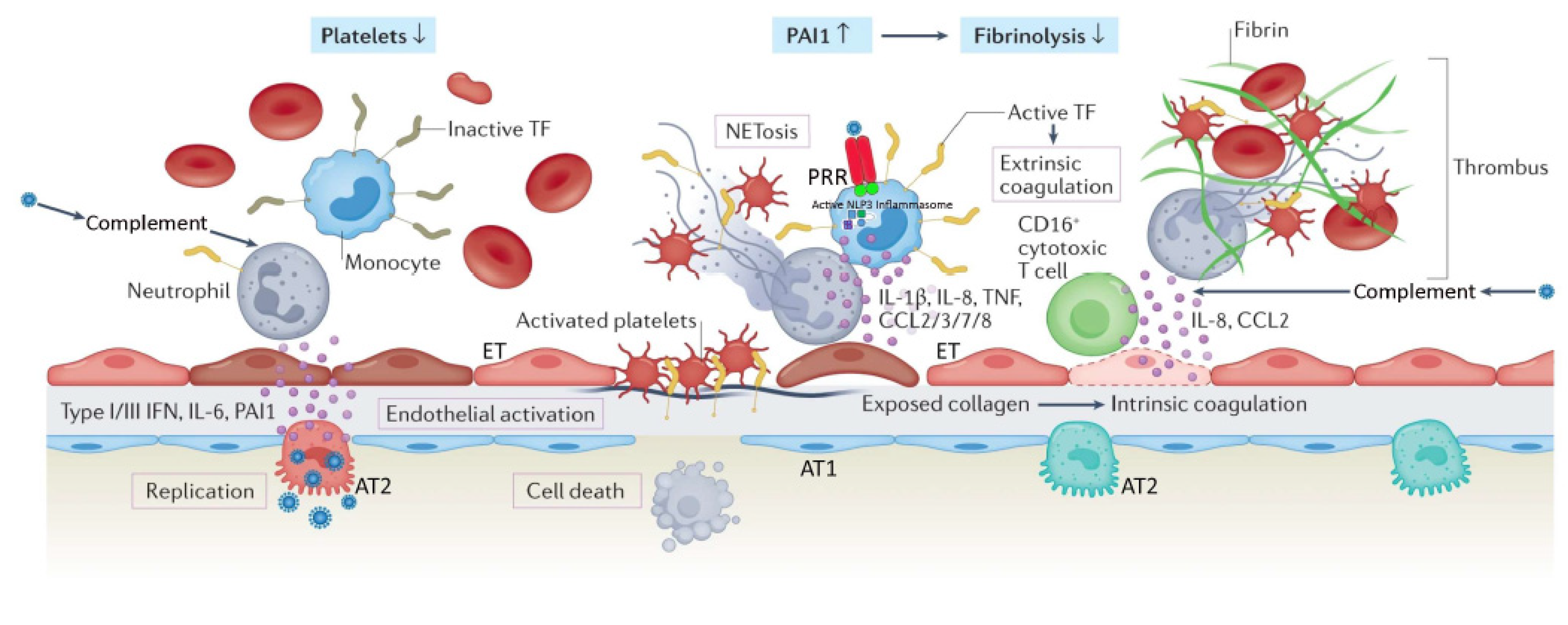 Jcm 11 04896 g001 550
