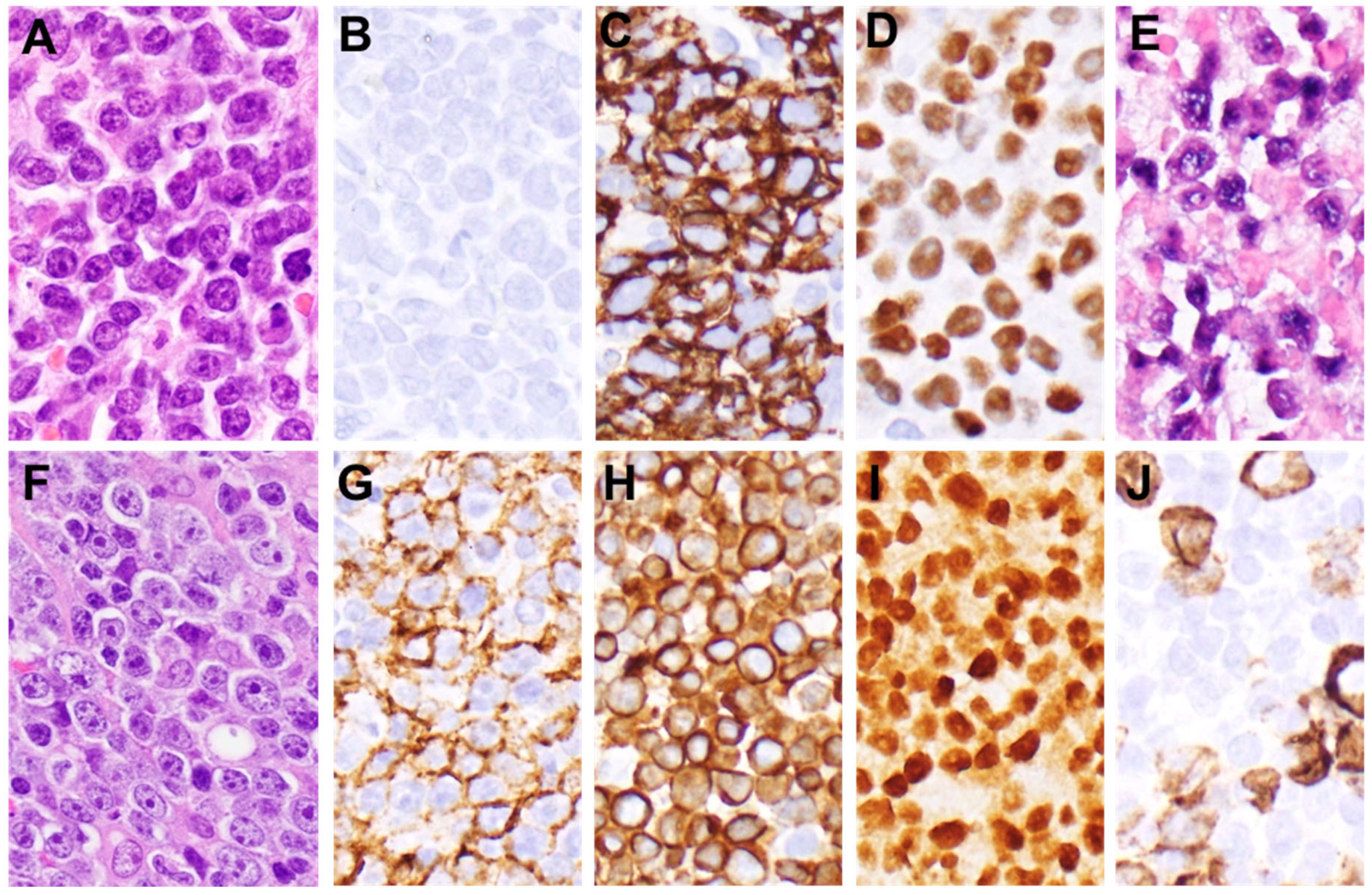 Jcm 11 04928 g001 550