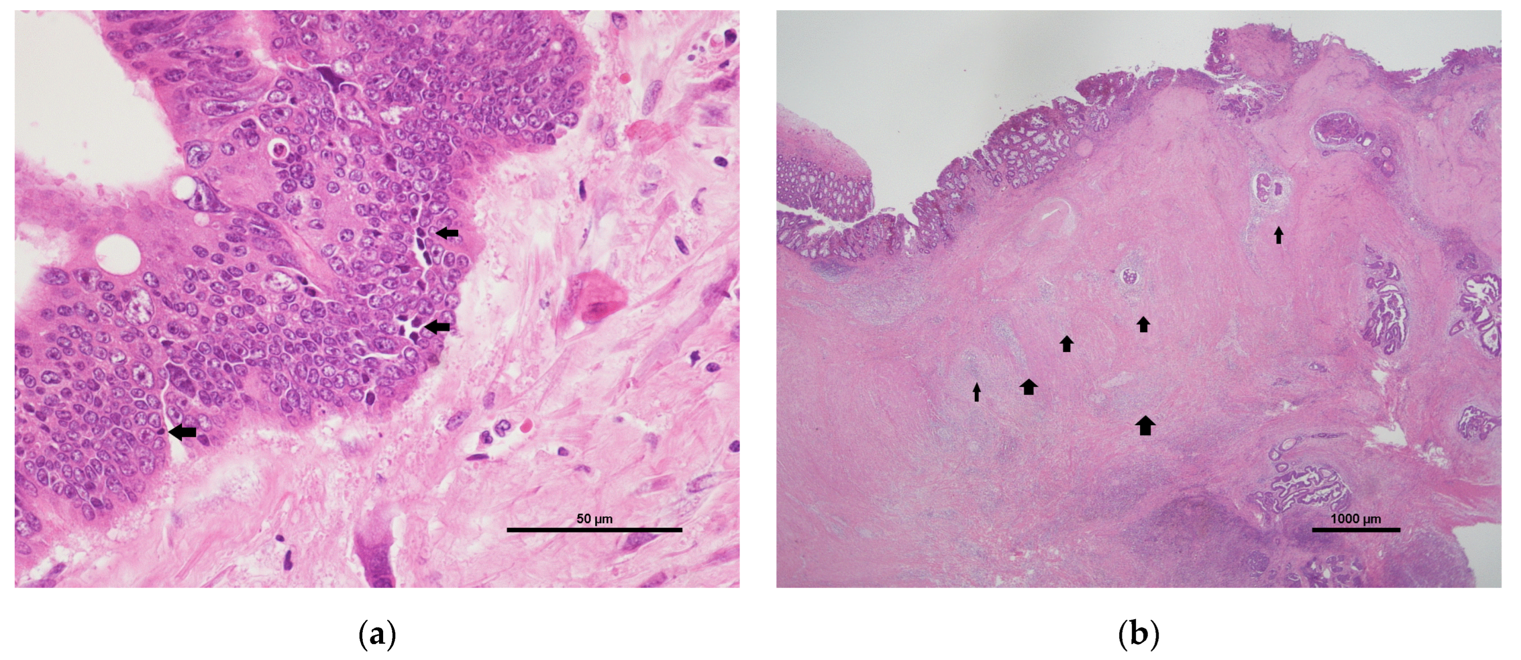 Jcm 11 04947 g002 550