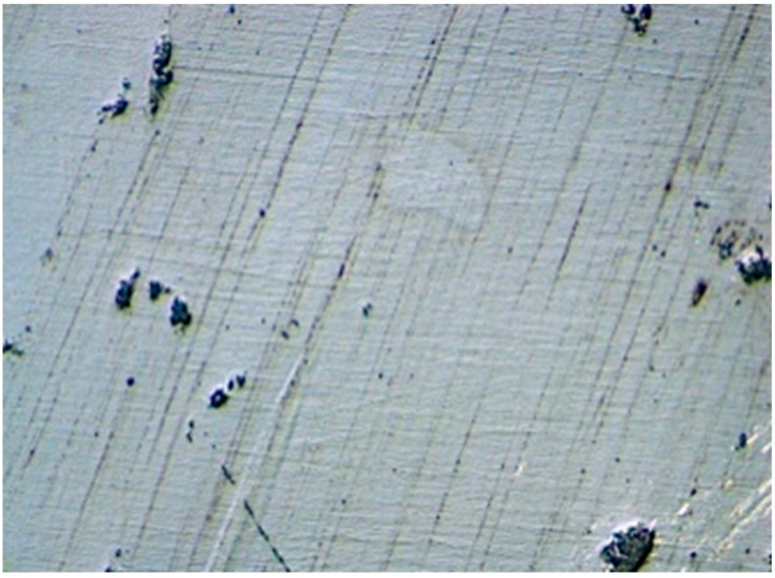 Jcm 11 04982 g009 Jcm 11 04982 g009