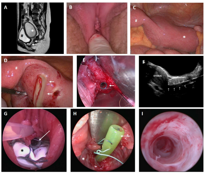 Jcm 11 05026 g002 550