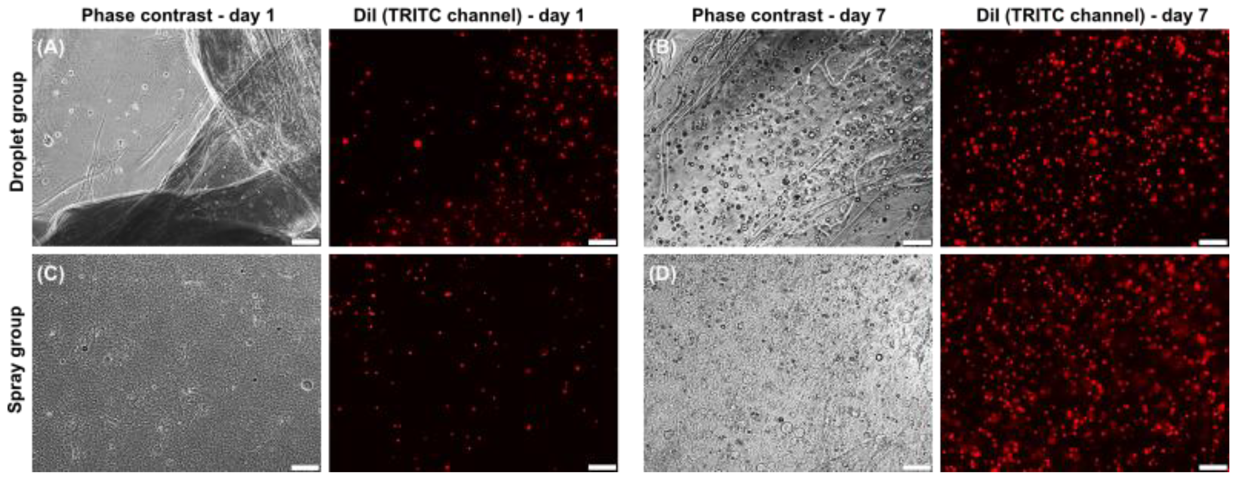 Jcm 11 05032 g003 550