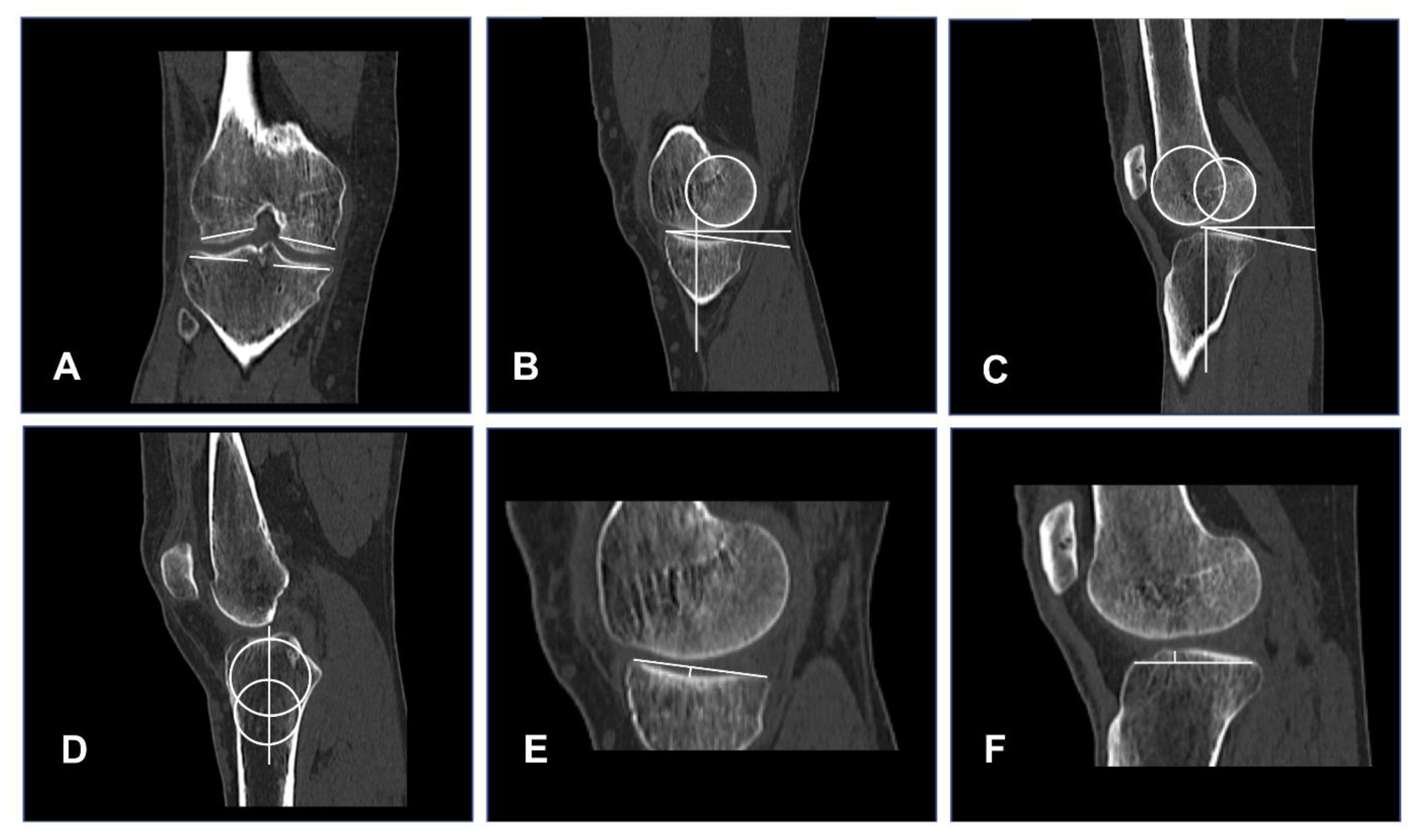 Jcm 11 05082 g001 550