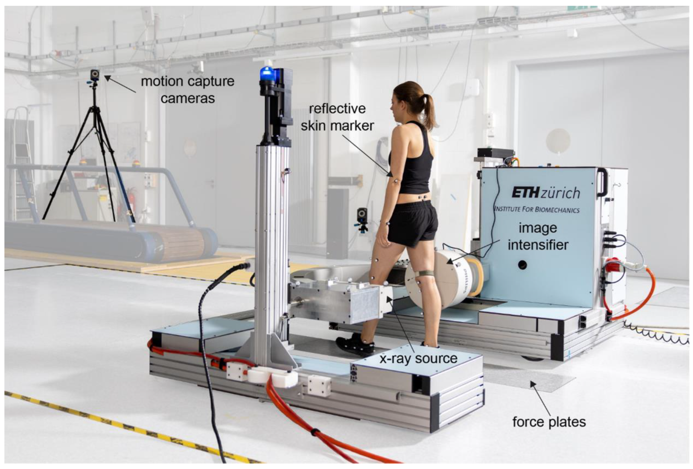 Jcm 11 05082 g002 550