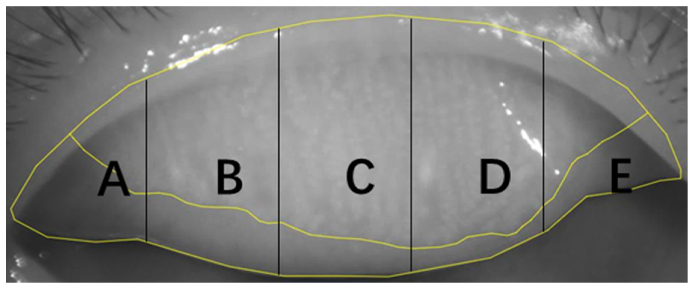 Jcm 11 05085 g002 550