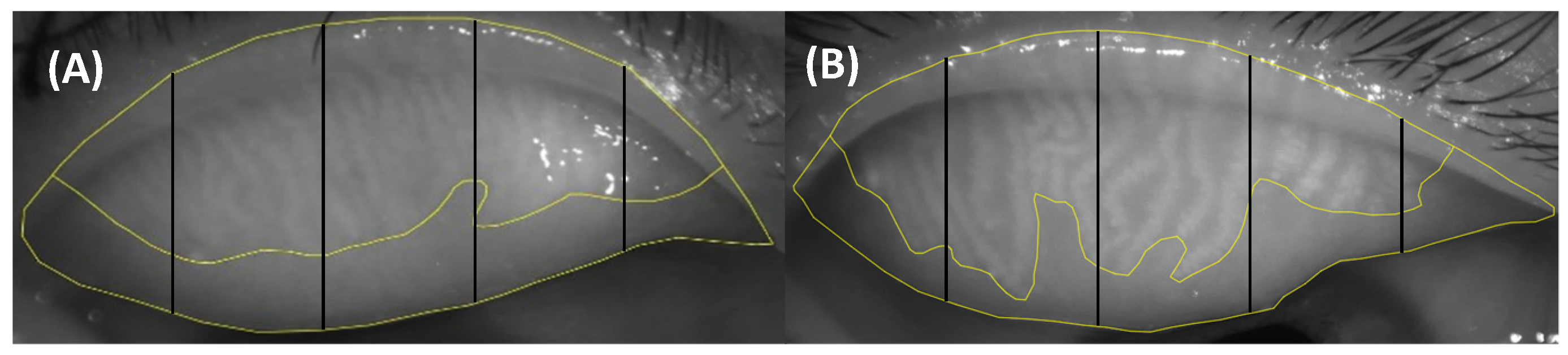 Jcm 11 05085 g003 550