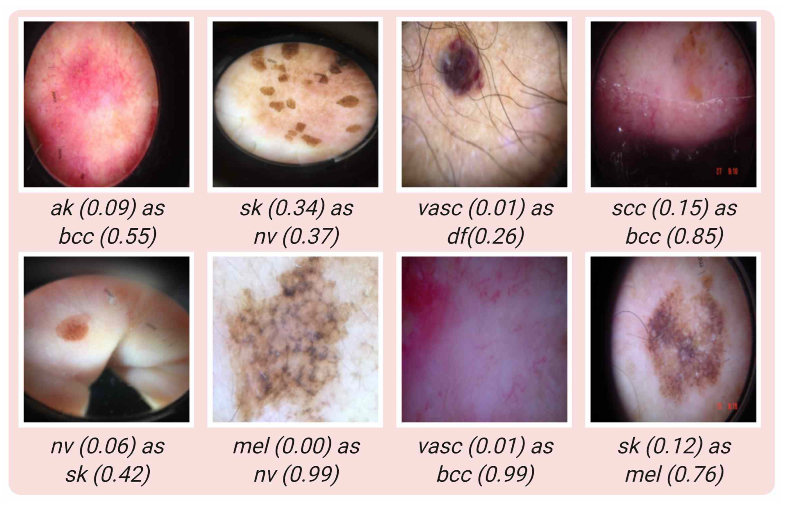 Jcm 11 05102 g006 550