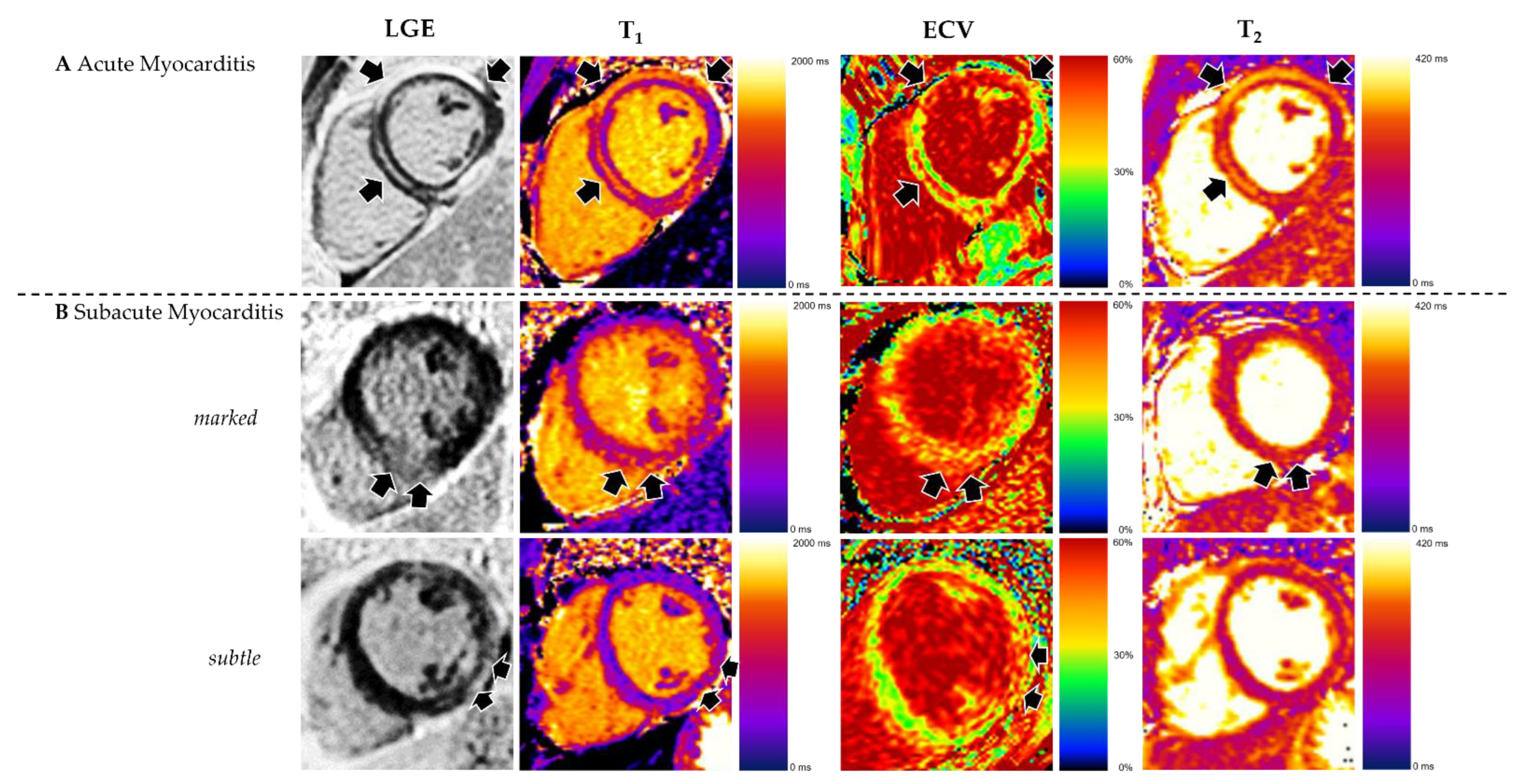 Jcm 11 05113 g004 550