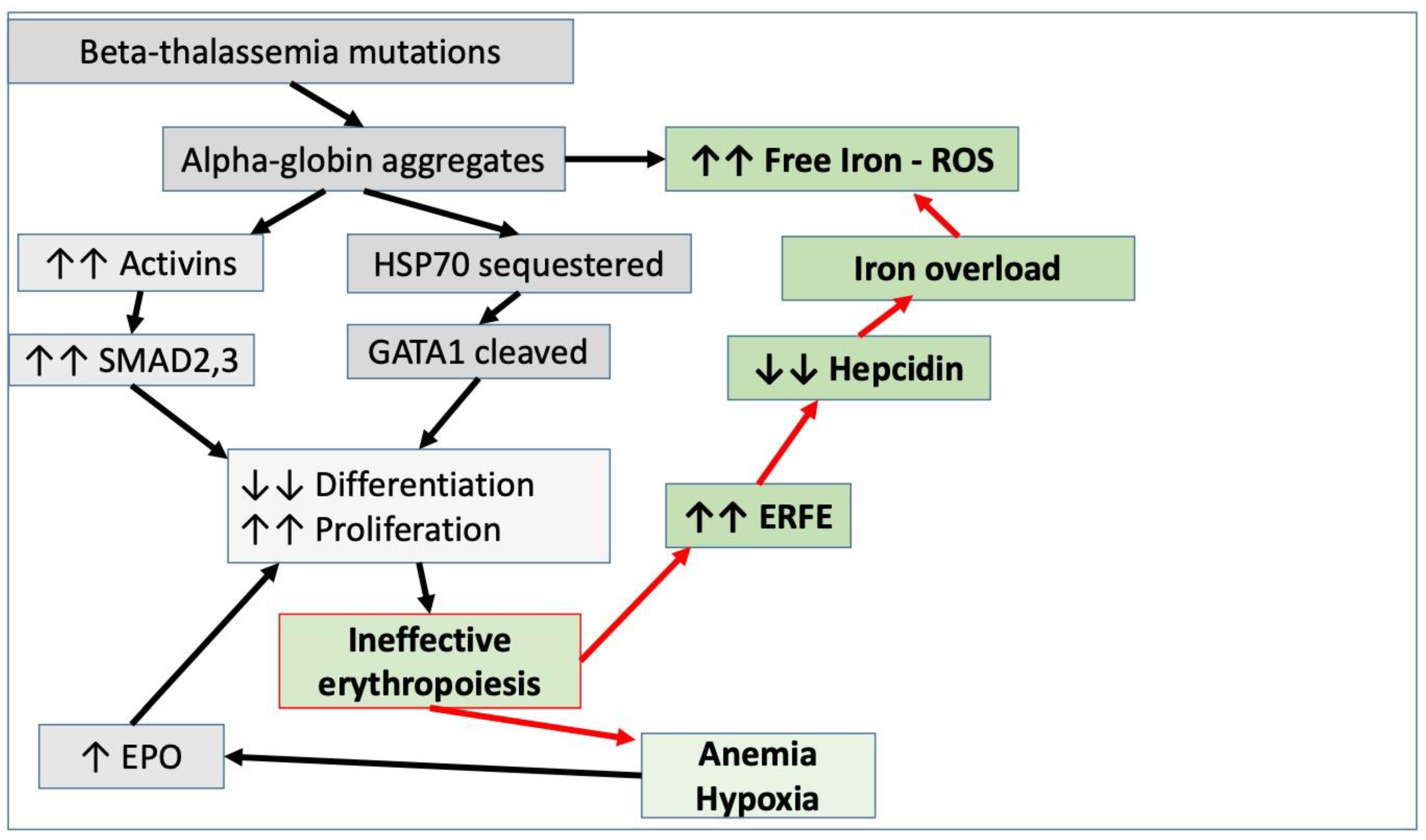 Jcm 11 05119 g001 550
