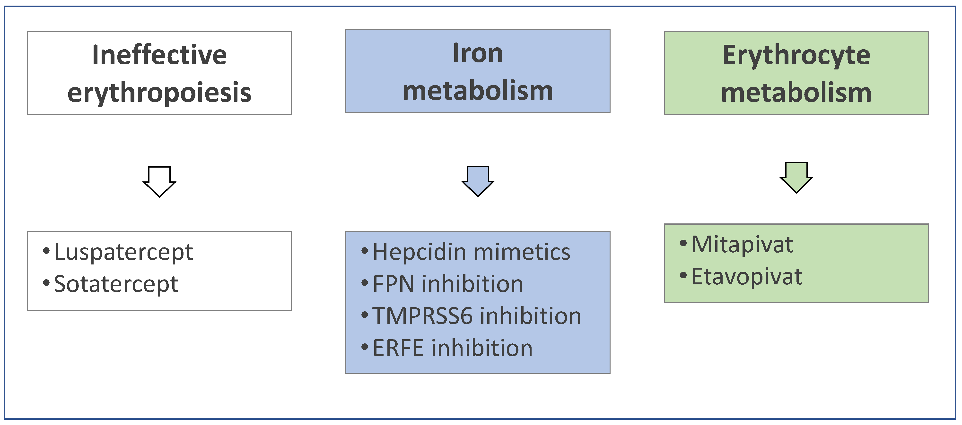 Jcm 11 05119 g002 550