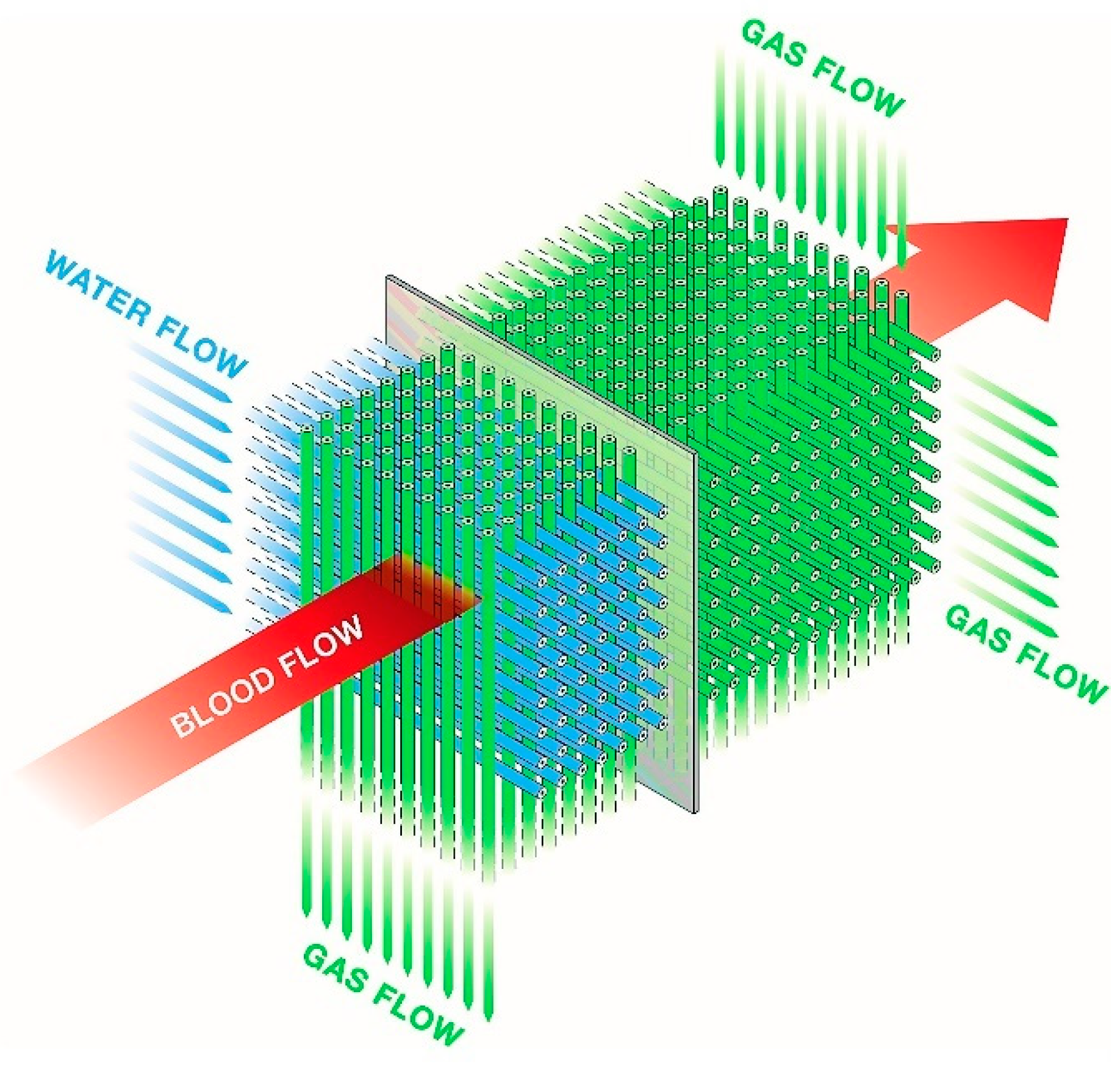 Jcm 11 05147 g001 550