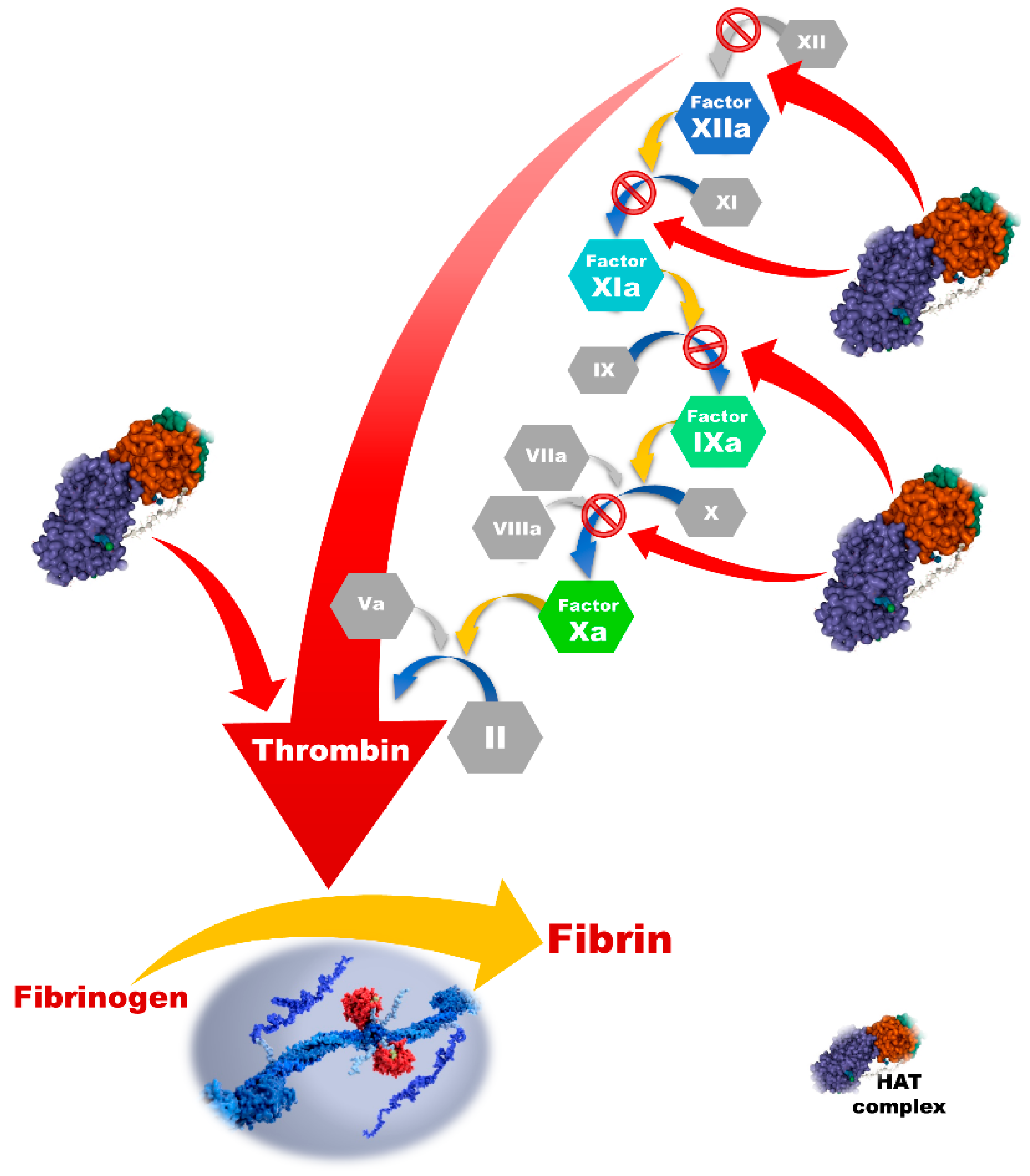 Jcm 11 05147 g003 550