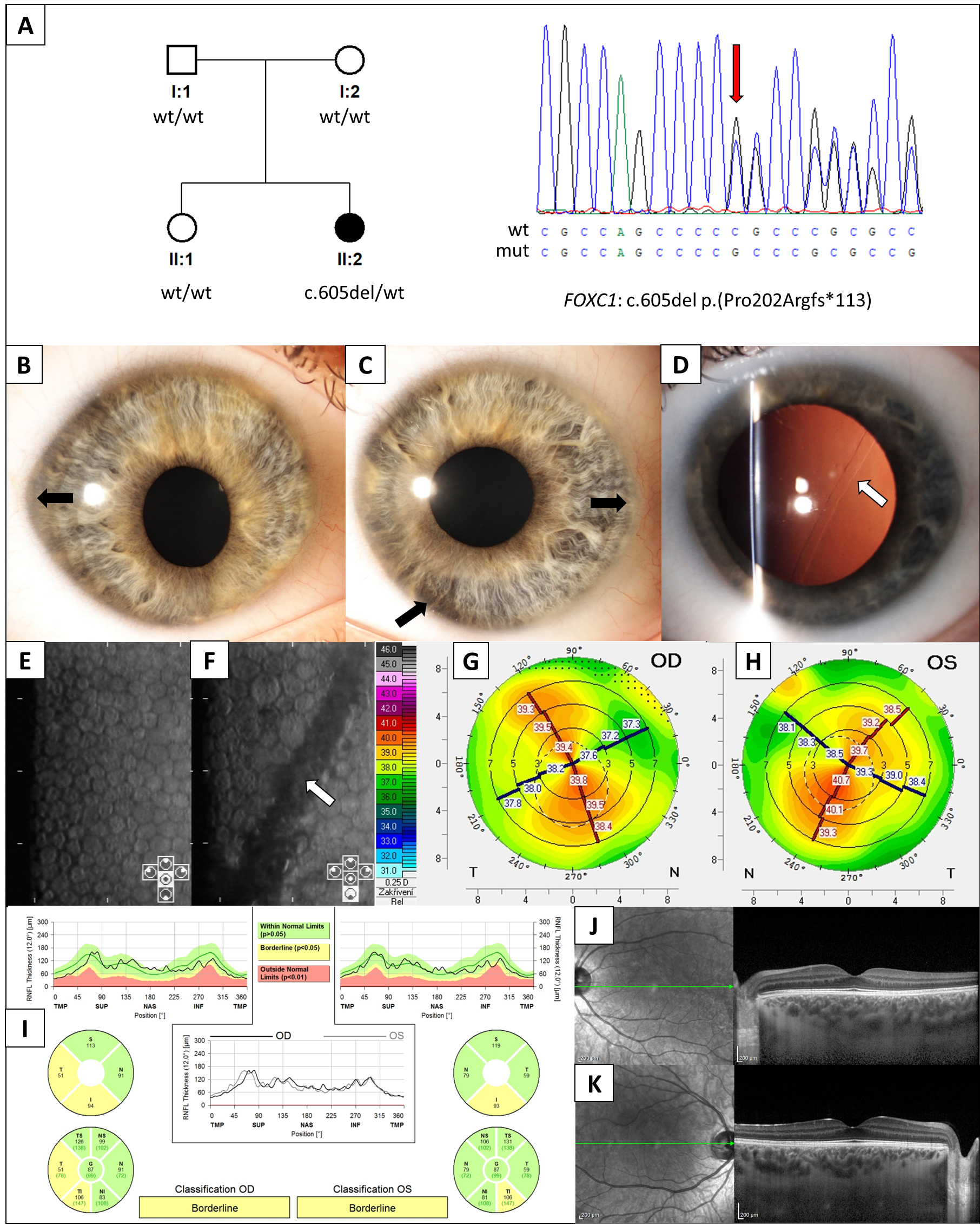 Jcm 11 05166 g001 Jcm 11 05166 g001
