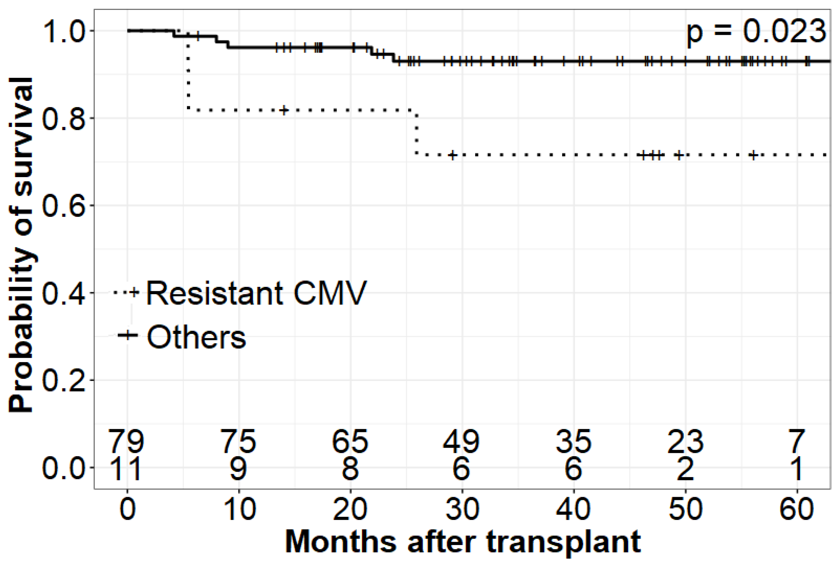 Jcm 11 05187 g002 Jcm 11 05187 g002